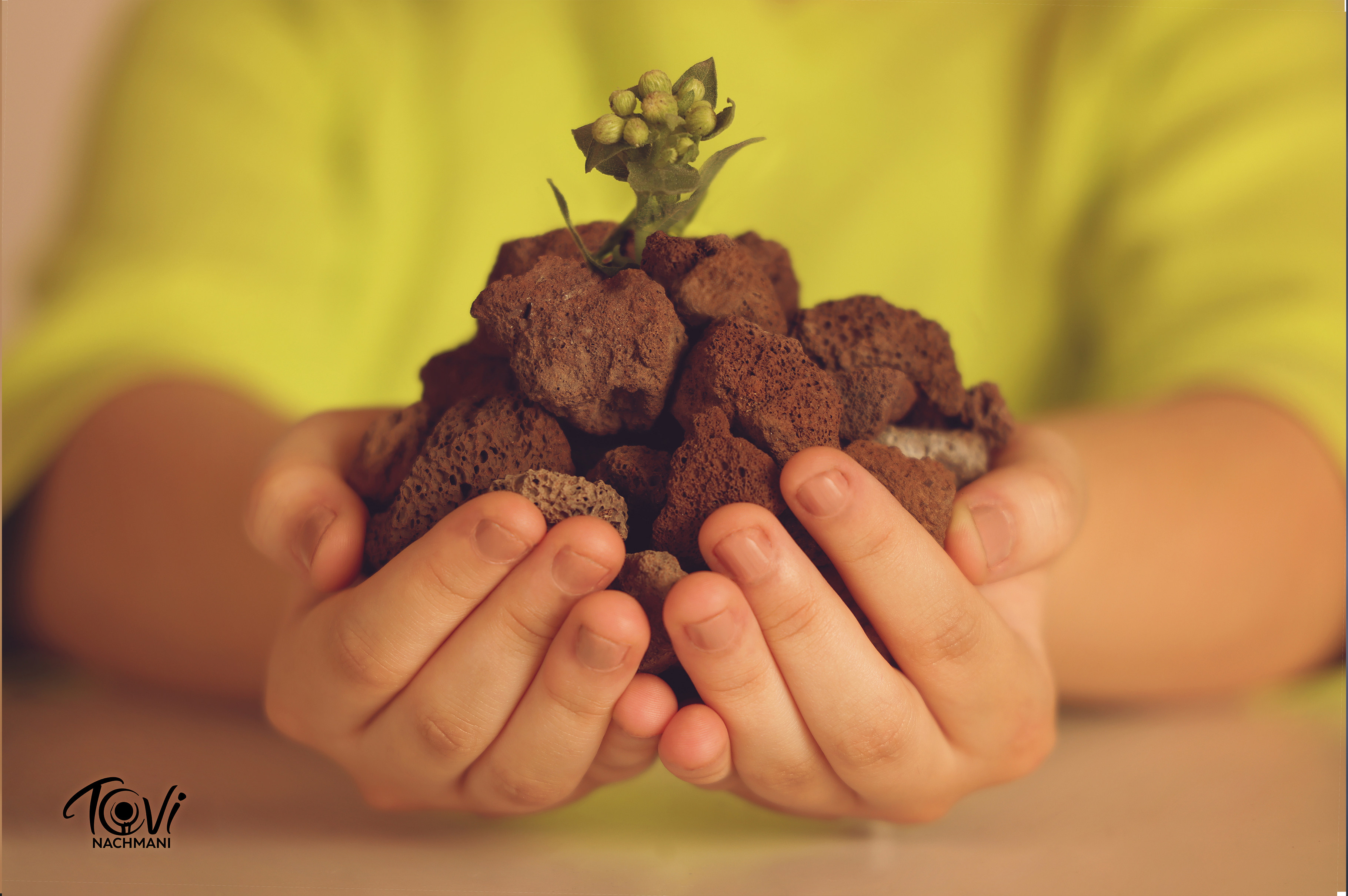 הכלה מוקטן.jpg