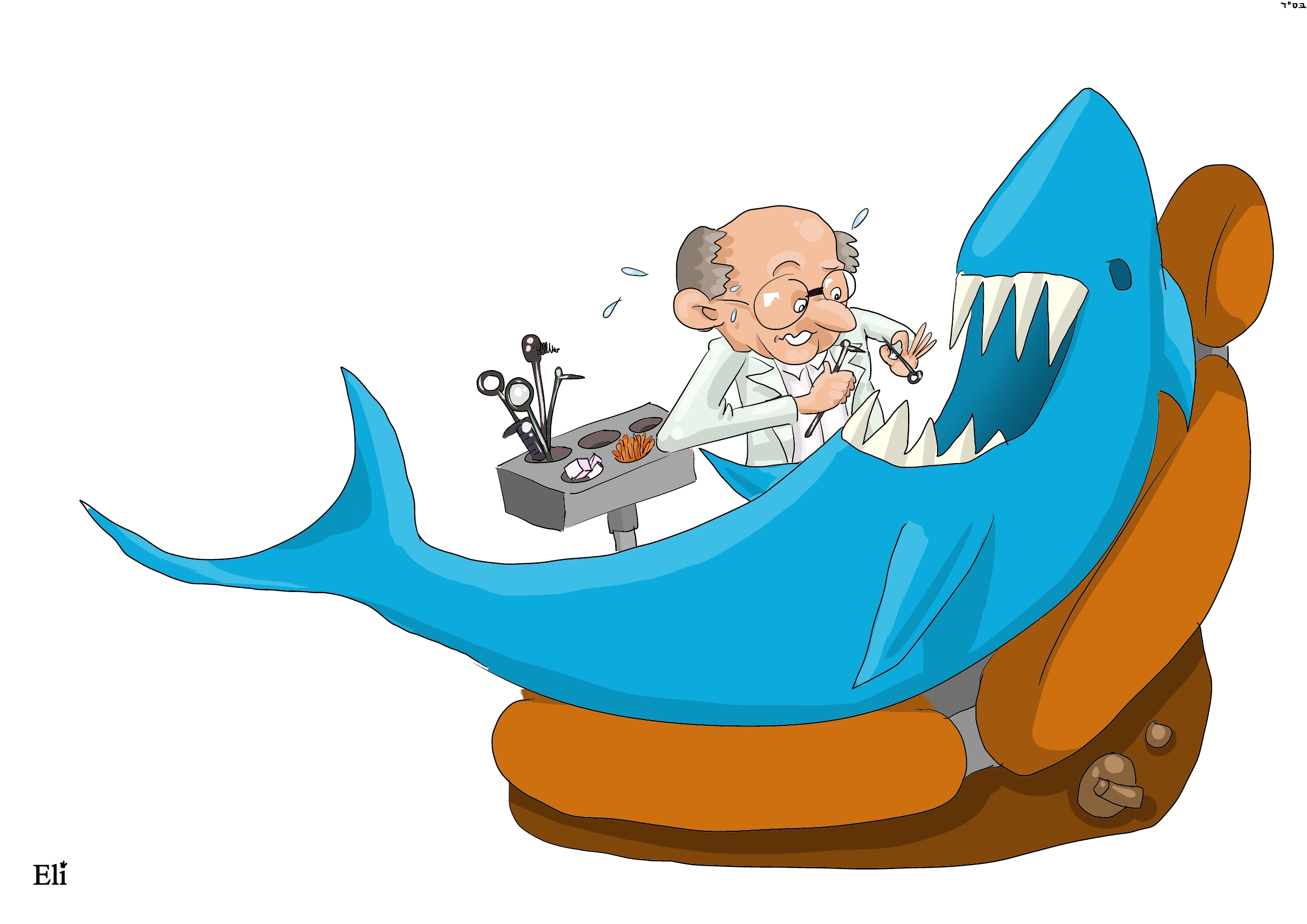 הכריש קופץ לביקור אצל הרופא שיניים.jpg