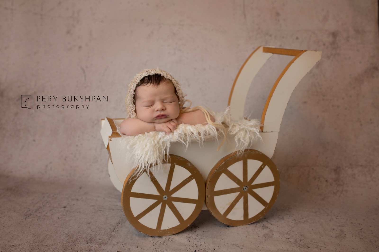 הלחיים השמנות