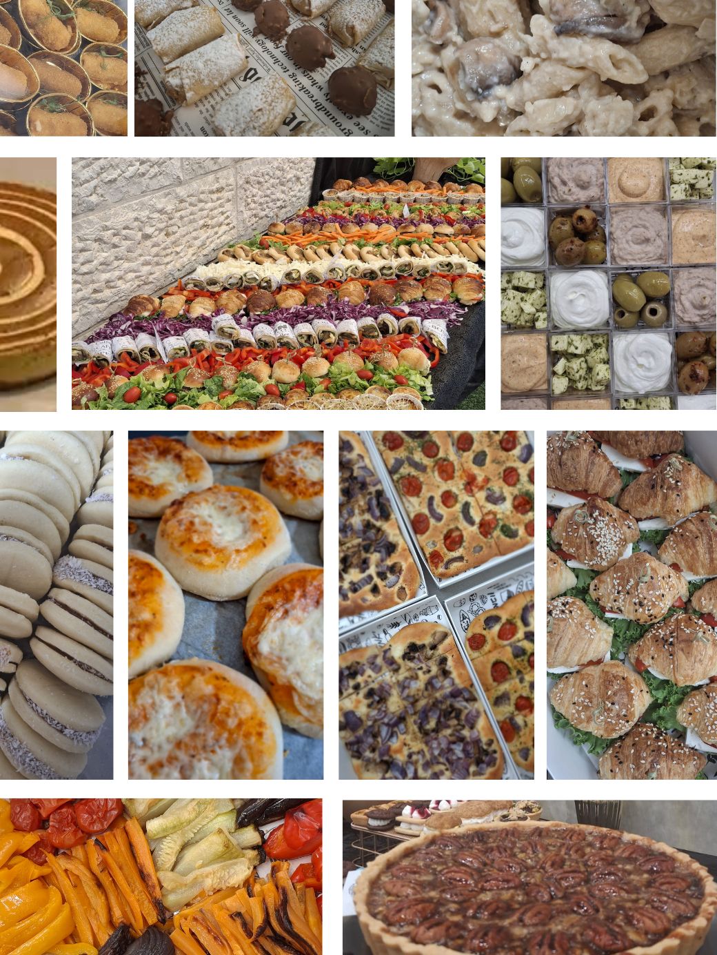 המגוון של קייטרינג פלטה