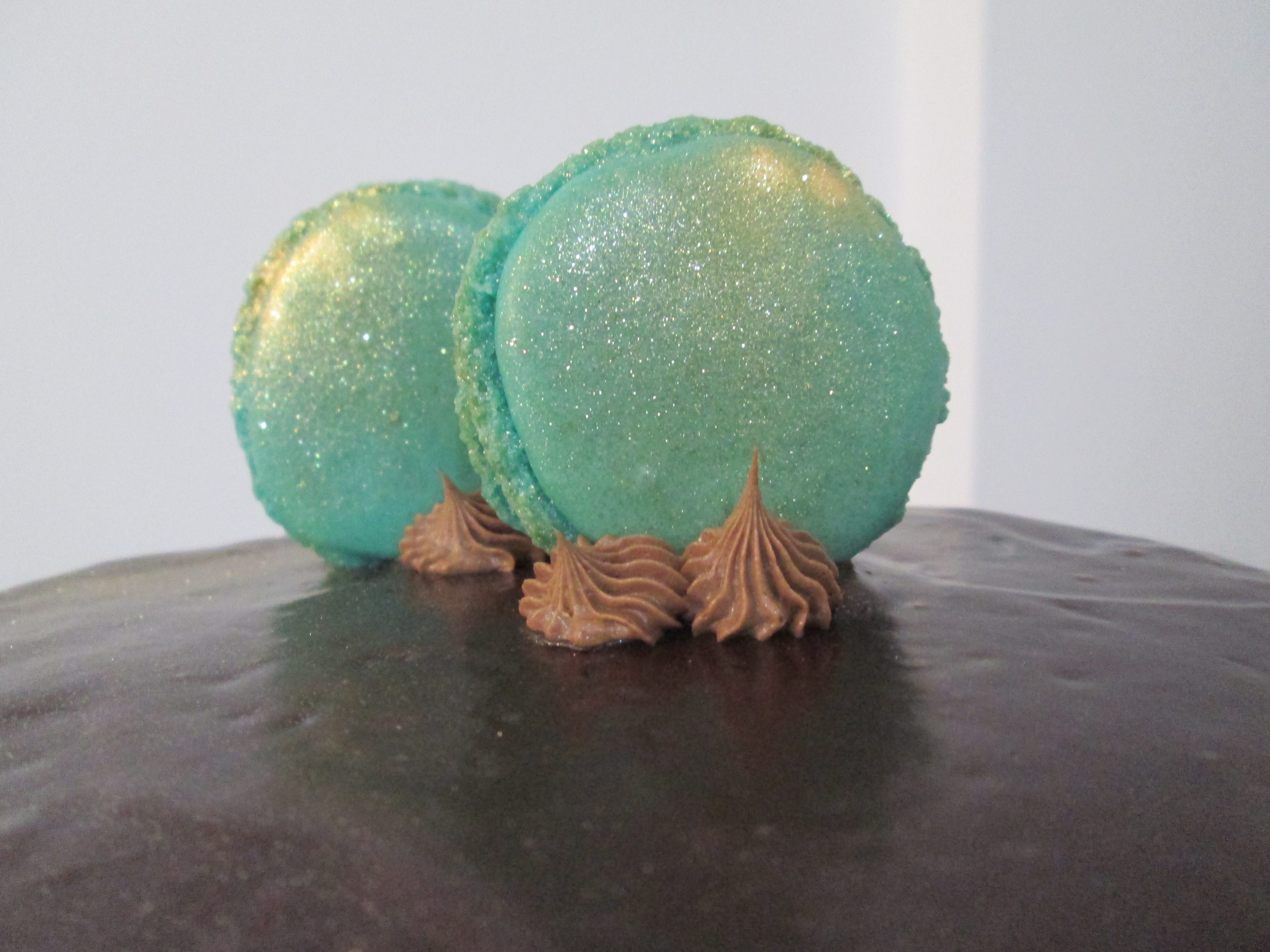 המקרונים הראשונים שלי!!