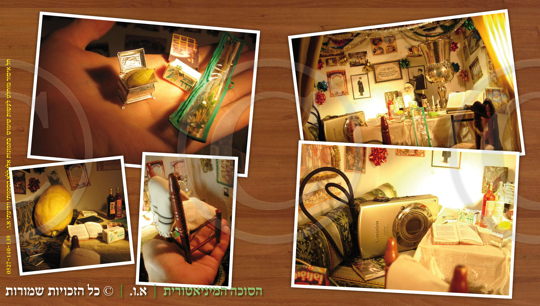 הסוכה המיניאטורית - המחשת הגודל