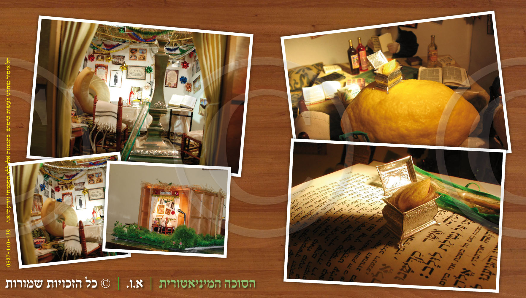 הסוכה המיניאטורית  - המחשת הגודל