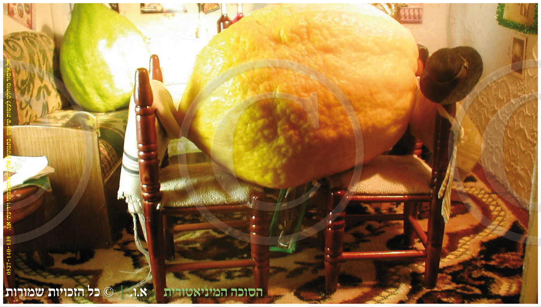 הסוכה המיניאטורית  - המחשת הגודל