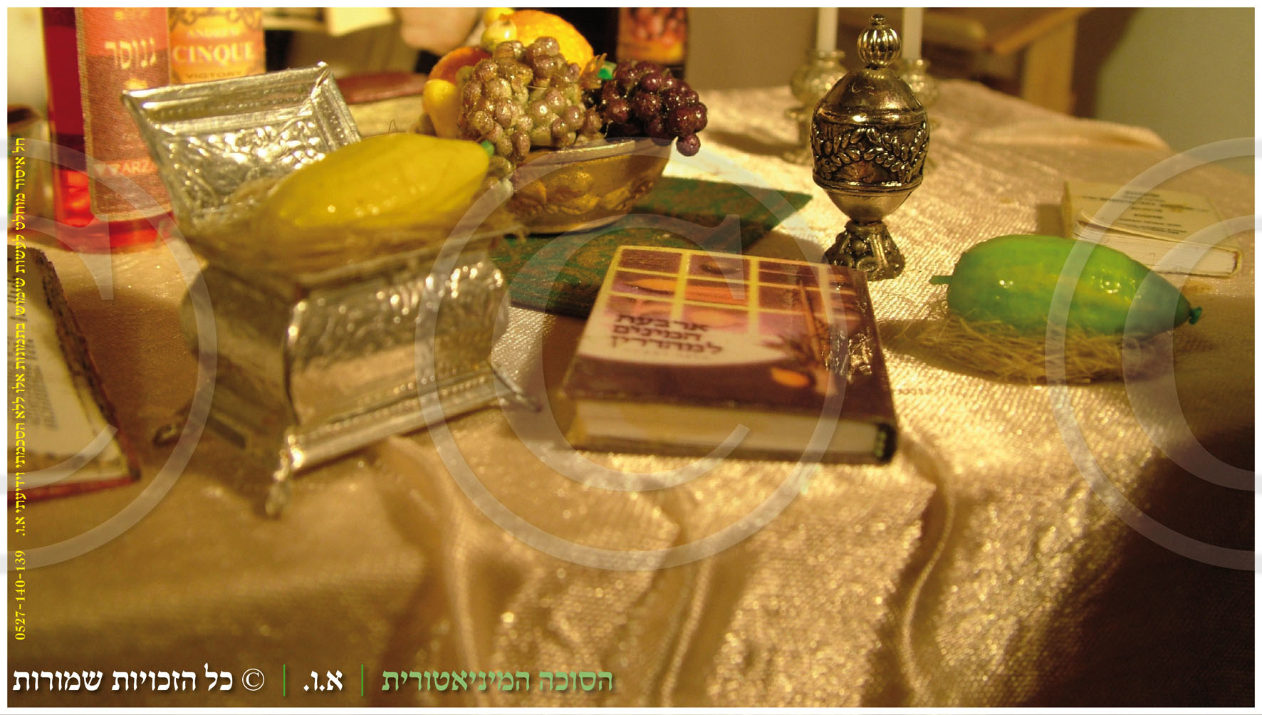 הסוכה המיניאטורית - פנים הסוכה