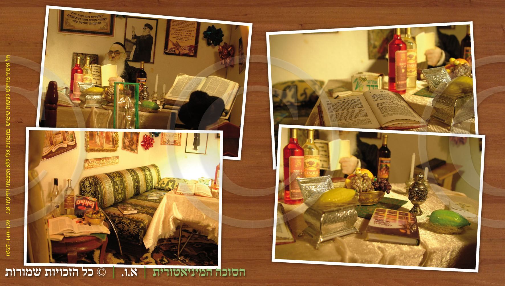 הסוכה המיניאטורית (6)