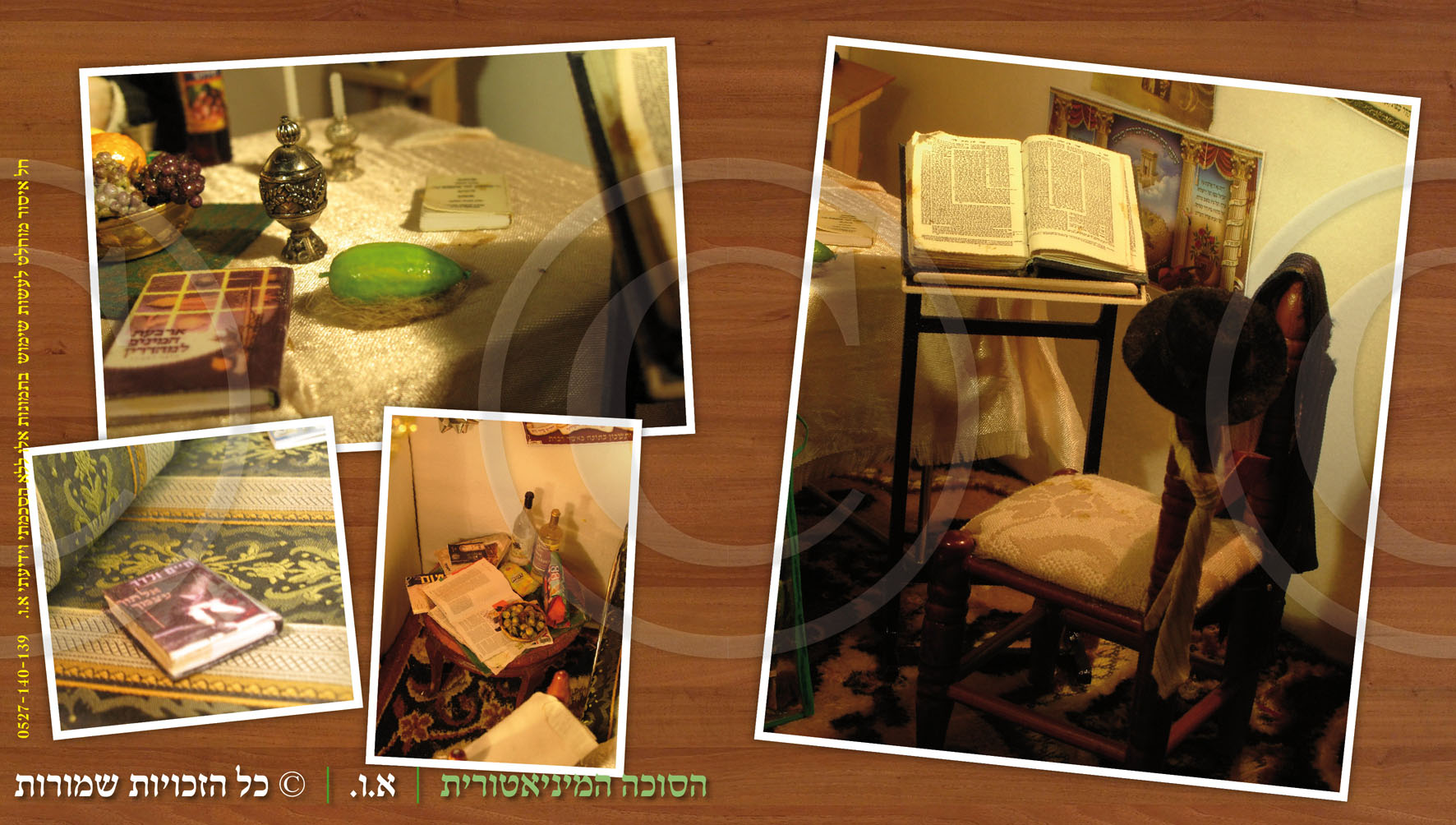 הסוכה המיניאטורית (9)