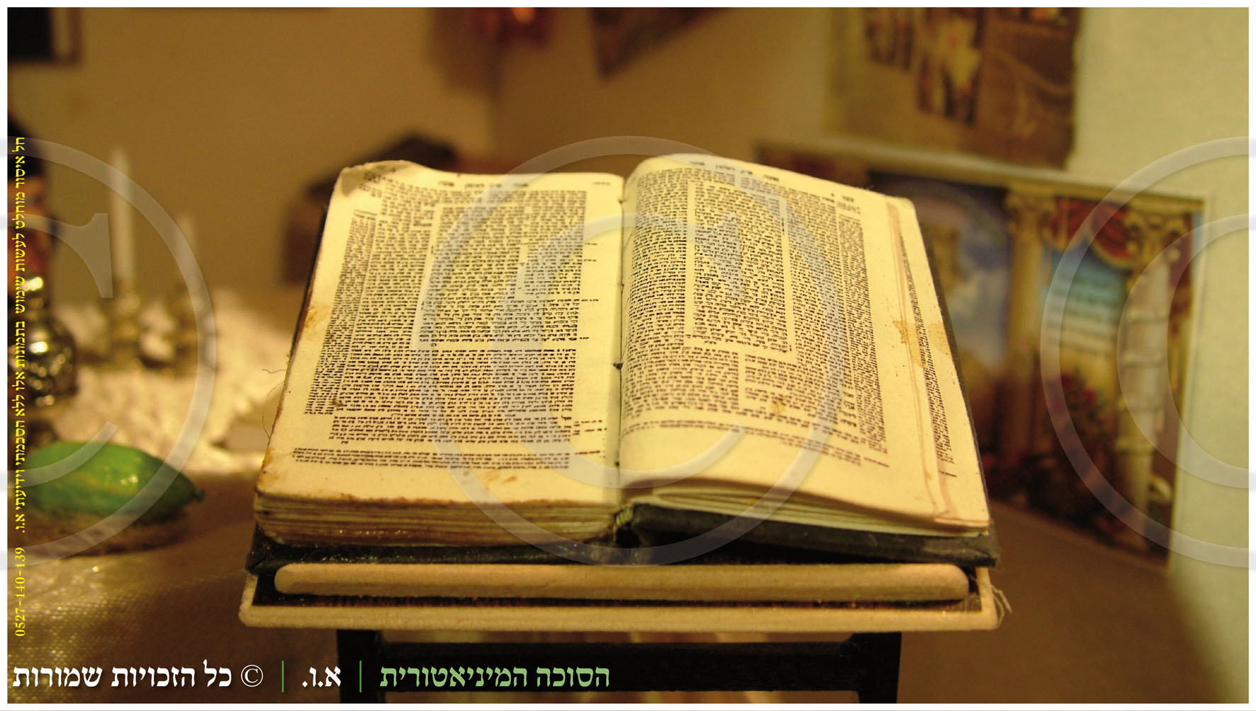 הסוכה המיניאטורית