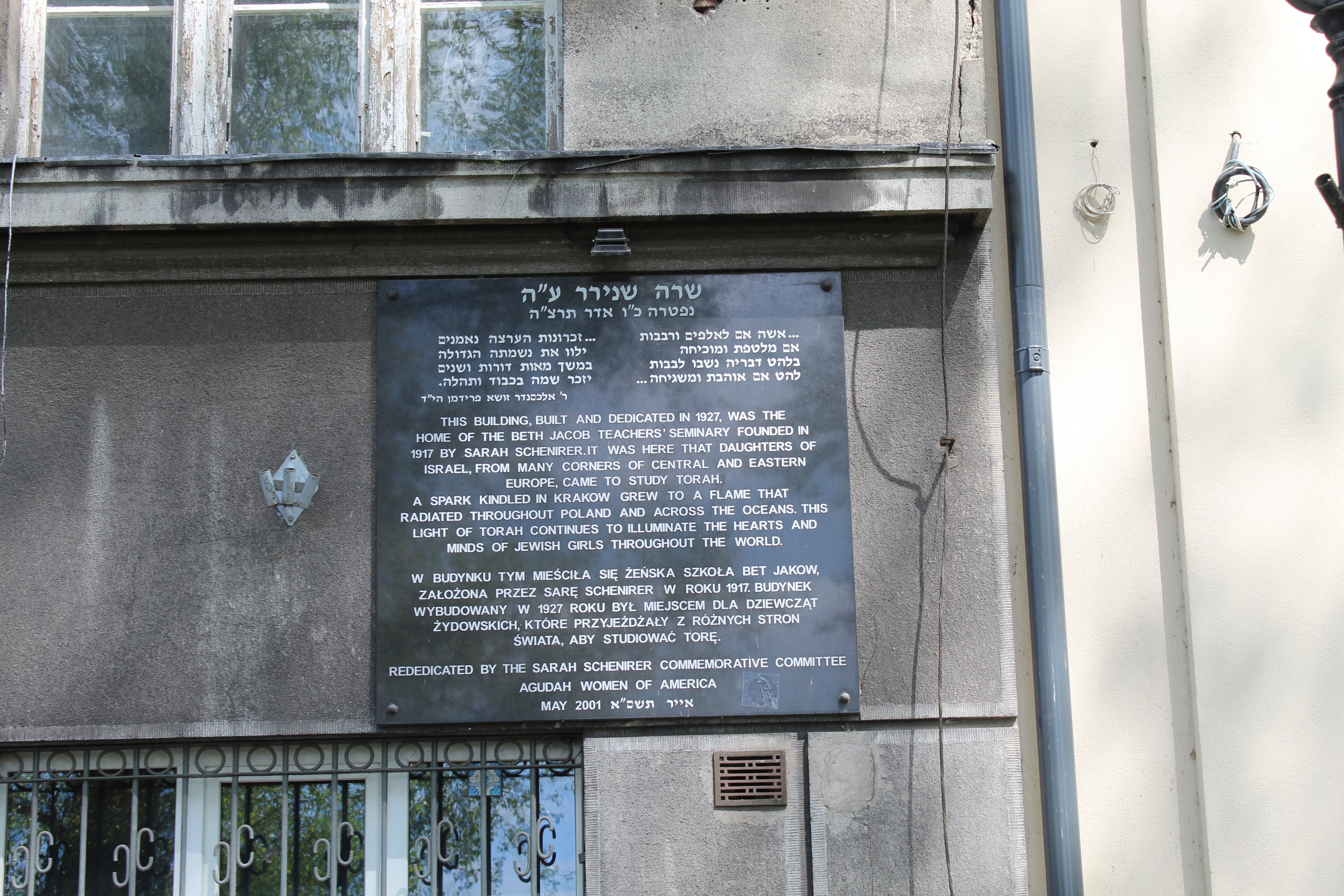 הסמינר של שרה שנירר