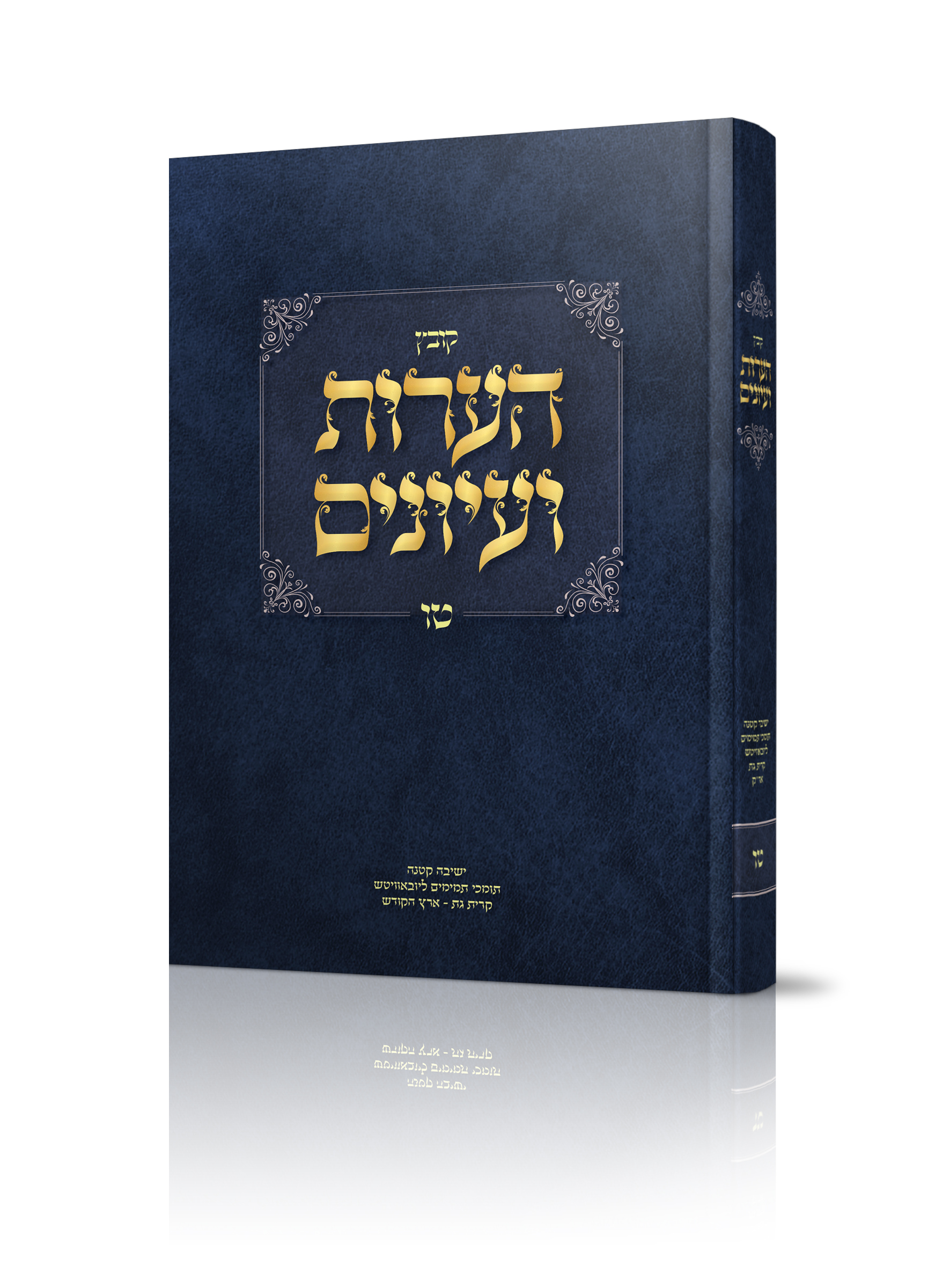 הערות ועיונים