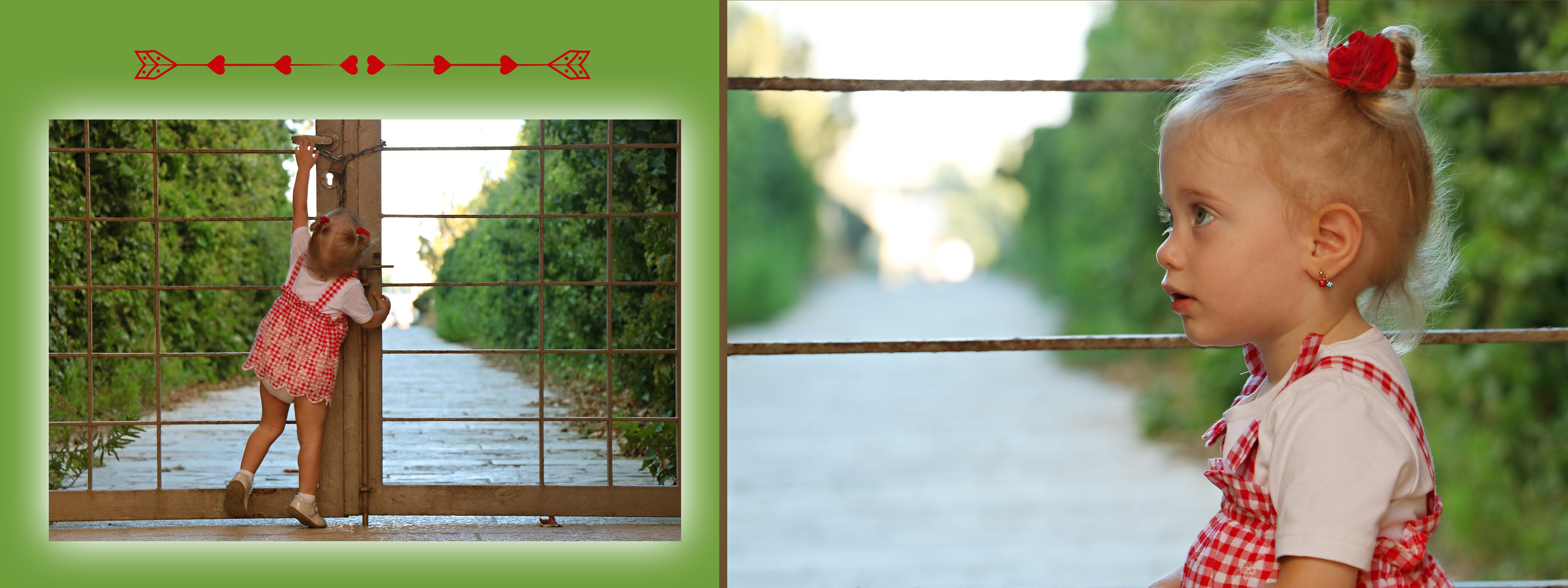 הפורמטיםמפעל הפורמטים4