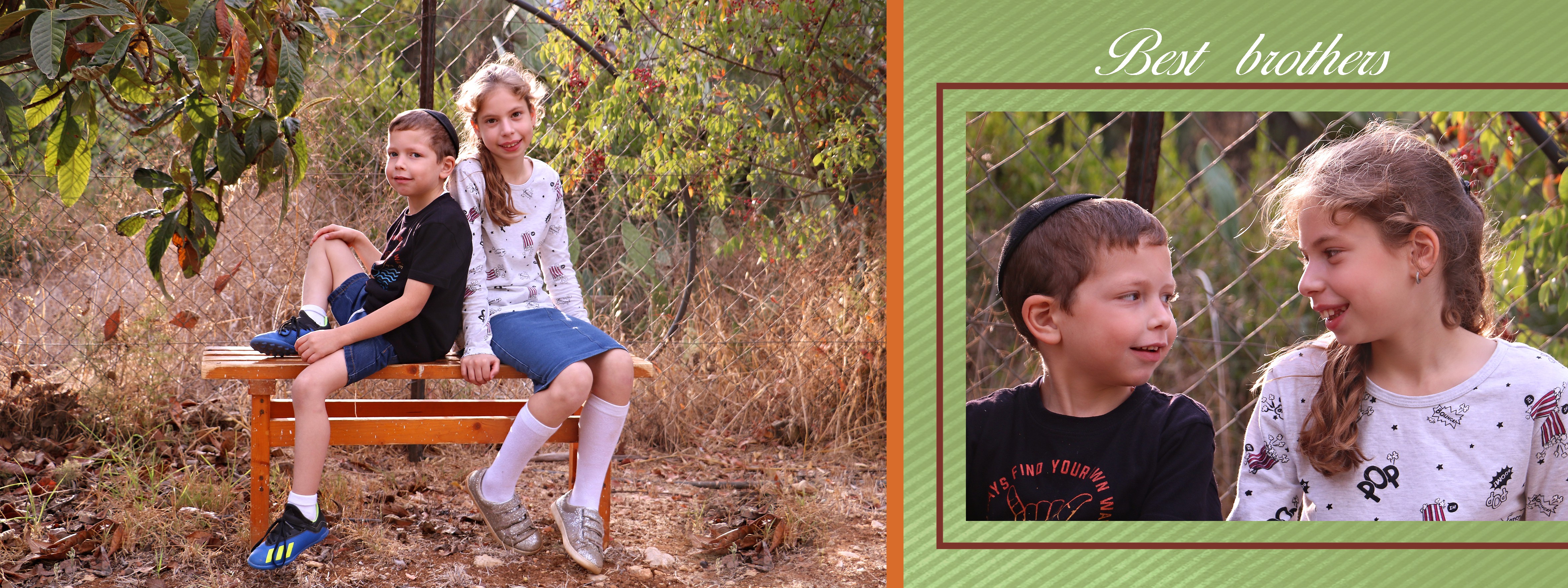 הפורמטים1 (5)