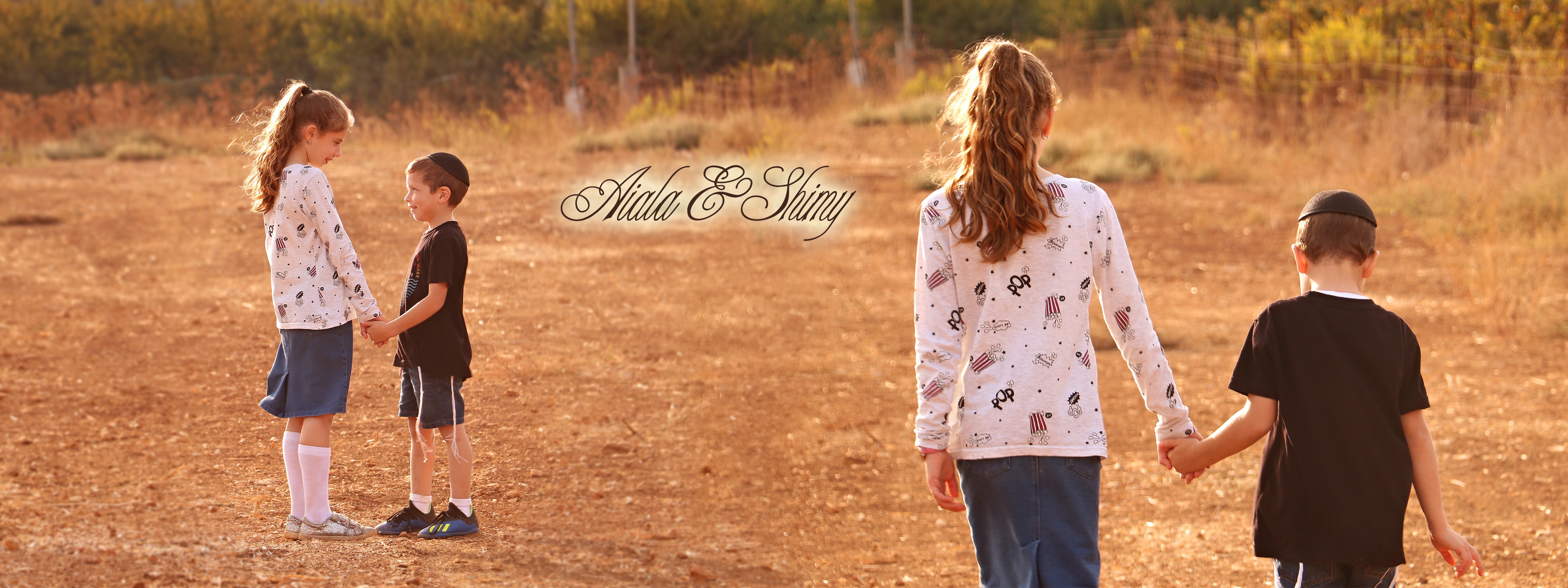 הפורמטים3 (3)