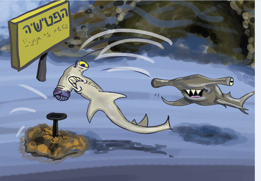 הפטישייה, כל פטיש  כריש!
כרישי הפטיש ישמחו לבצע את העבודה בשבילכם (או שלא...).