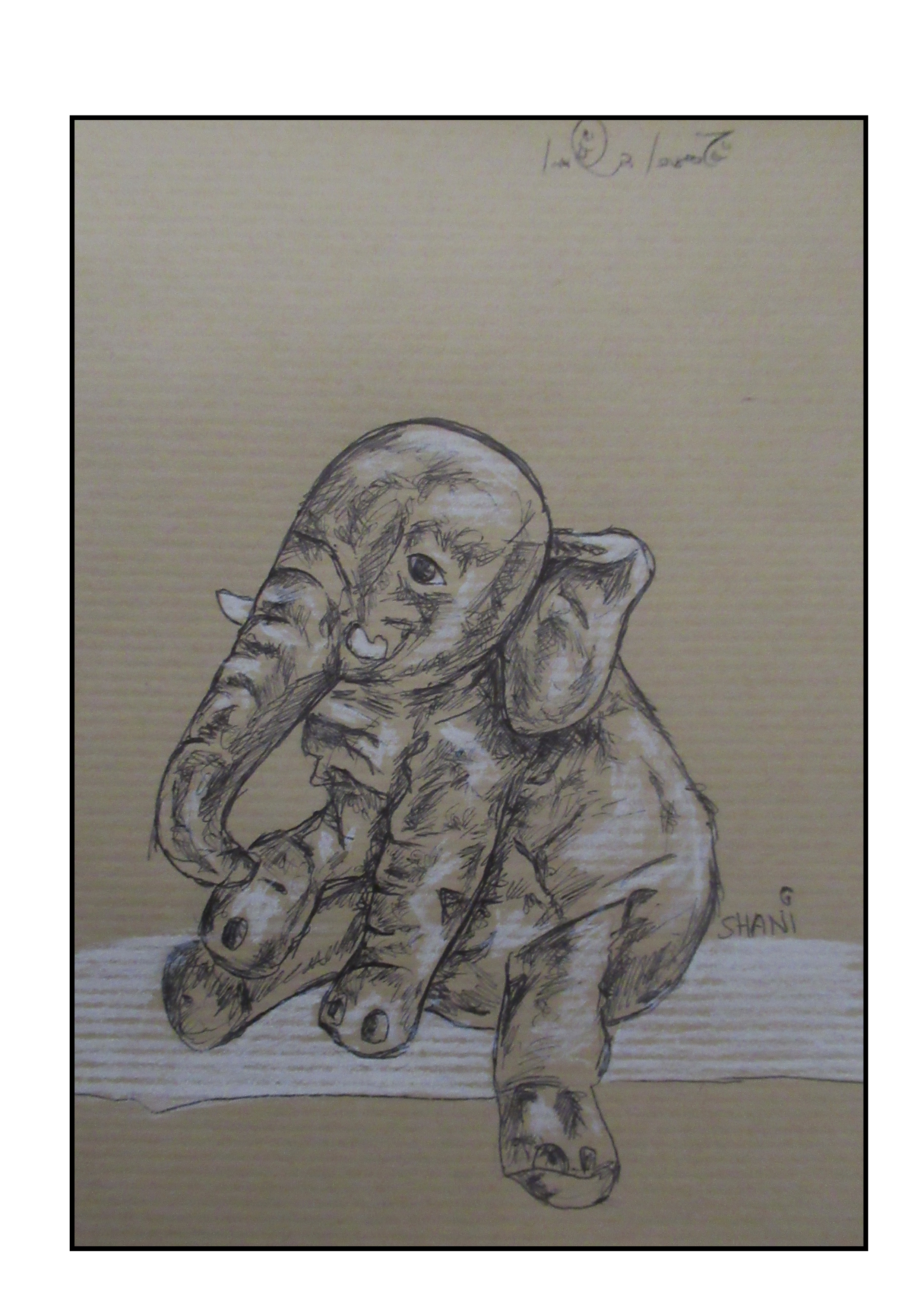 הפיל מאיקאה..