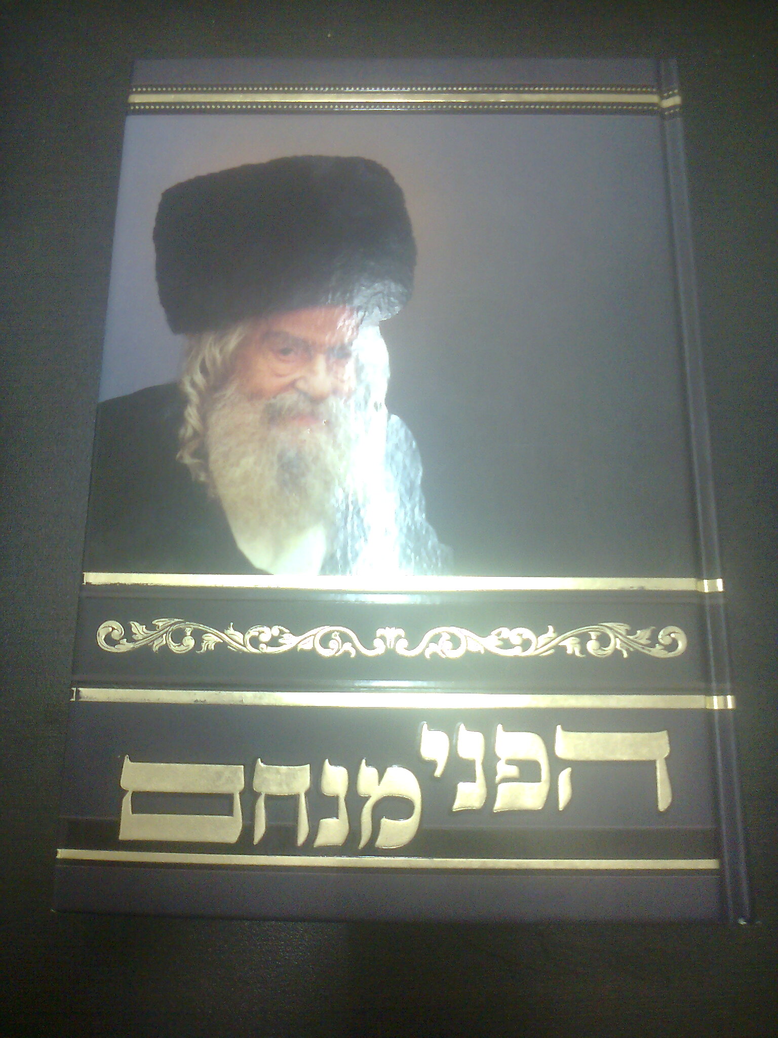 הפני מנחם - פרקי חיים ותולדות