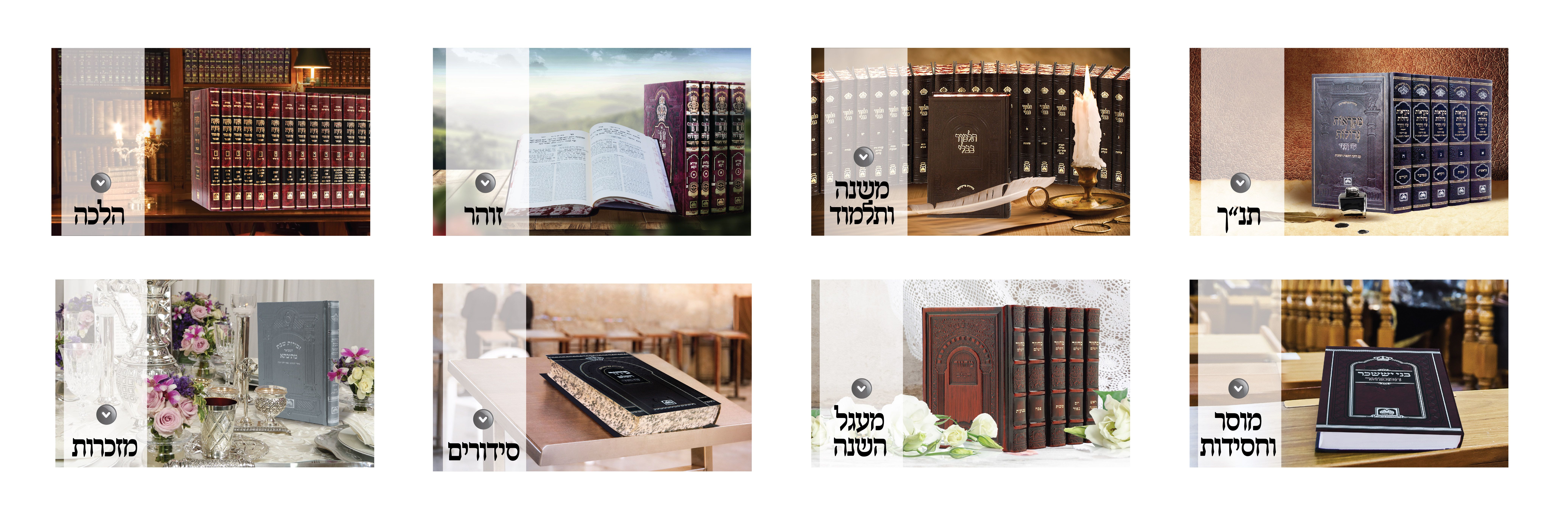 הפקת באנר ראשי לאתר.jpg