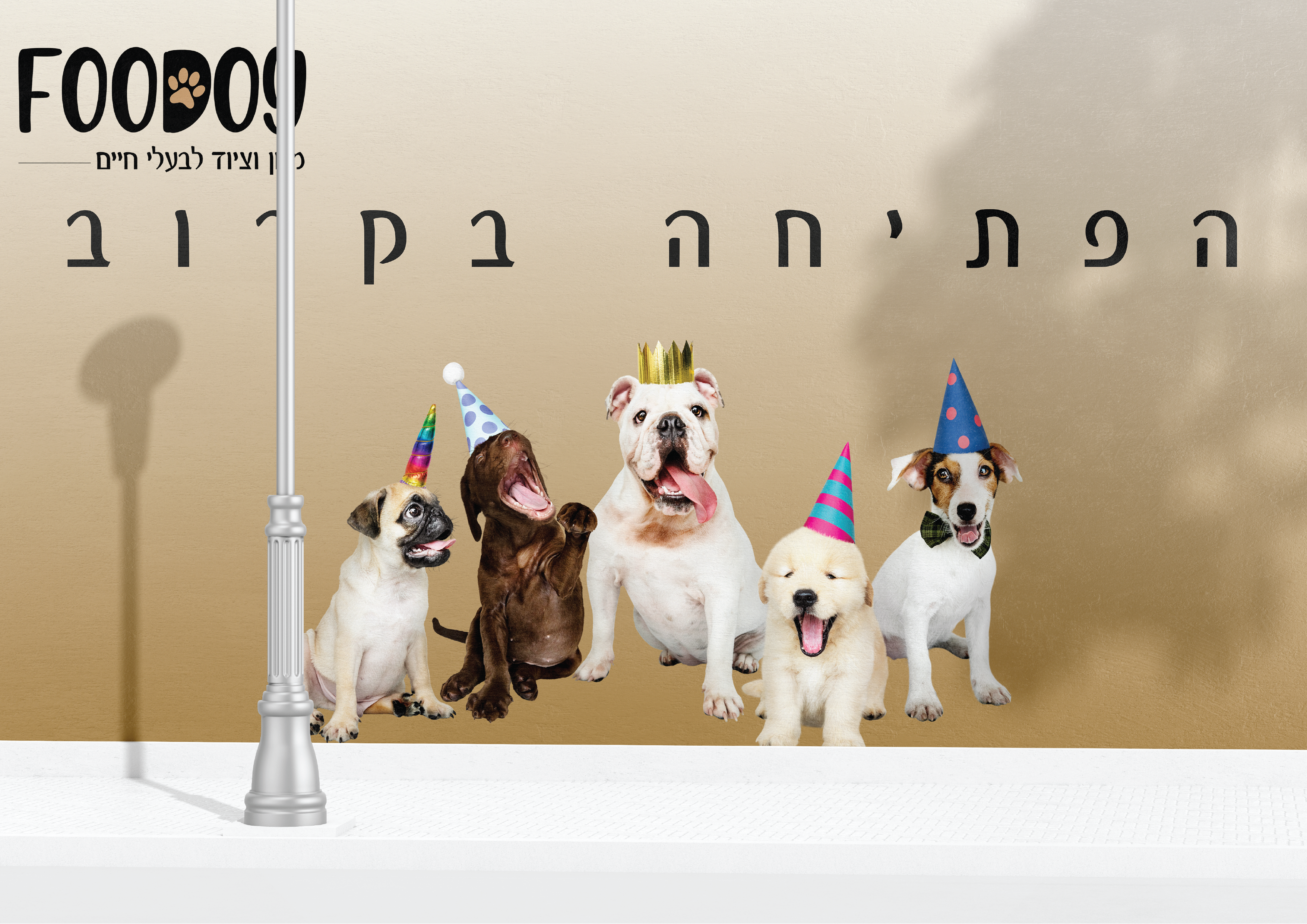 הפתיחה בקרוב.png