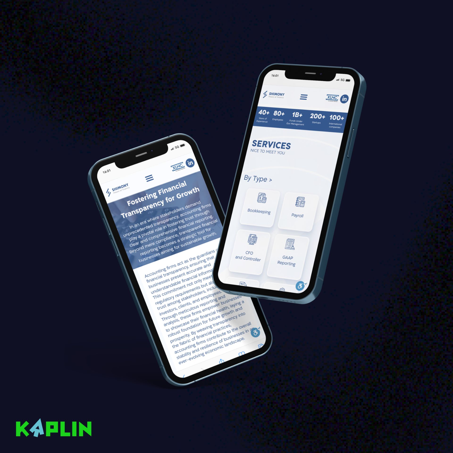 הצגת אתר תדמית משרד שמעוני1.jpg