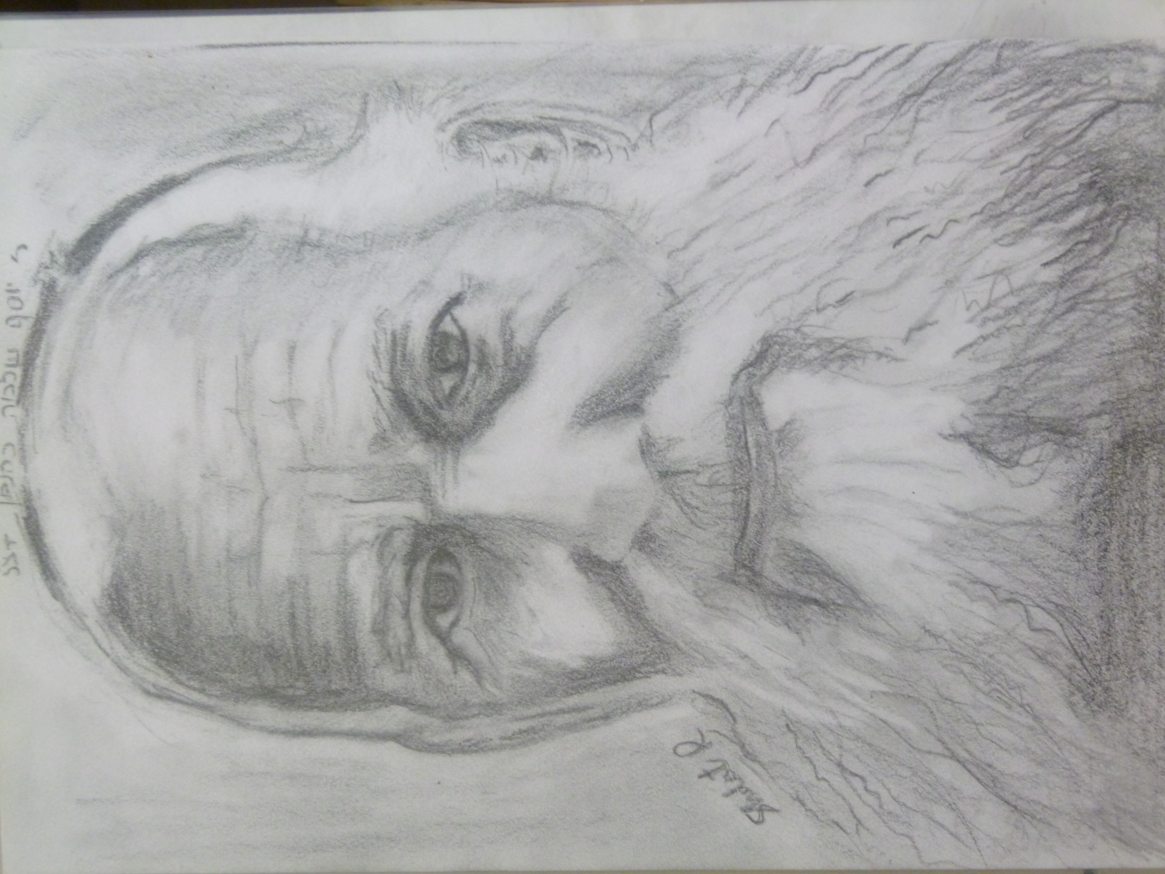 הרב כהנמן זצ"ל