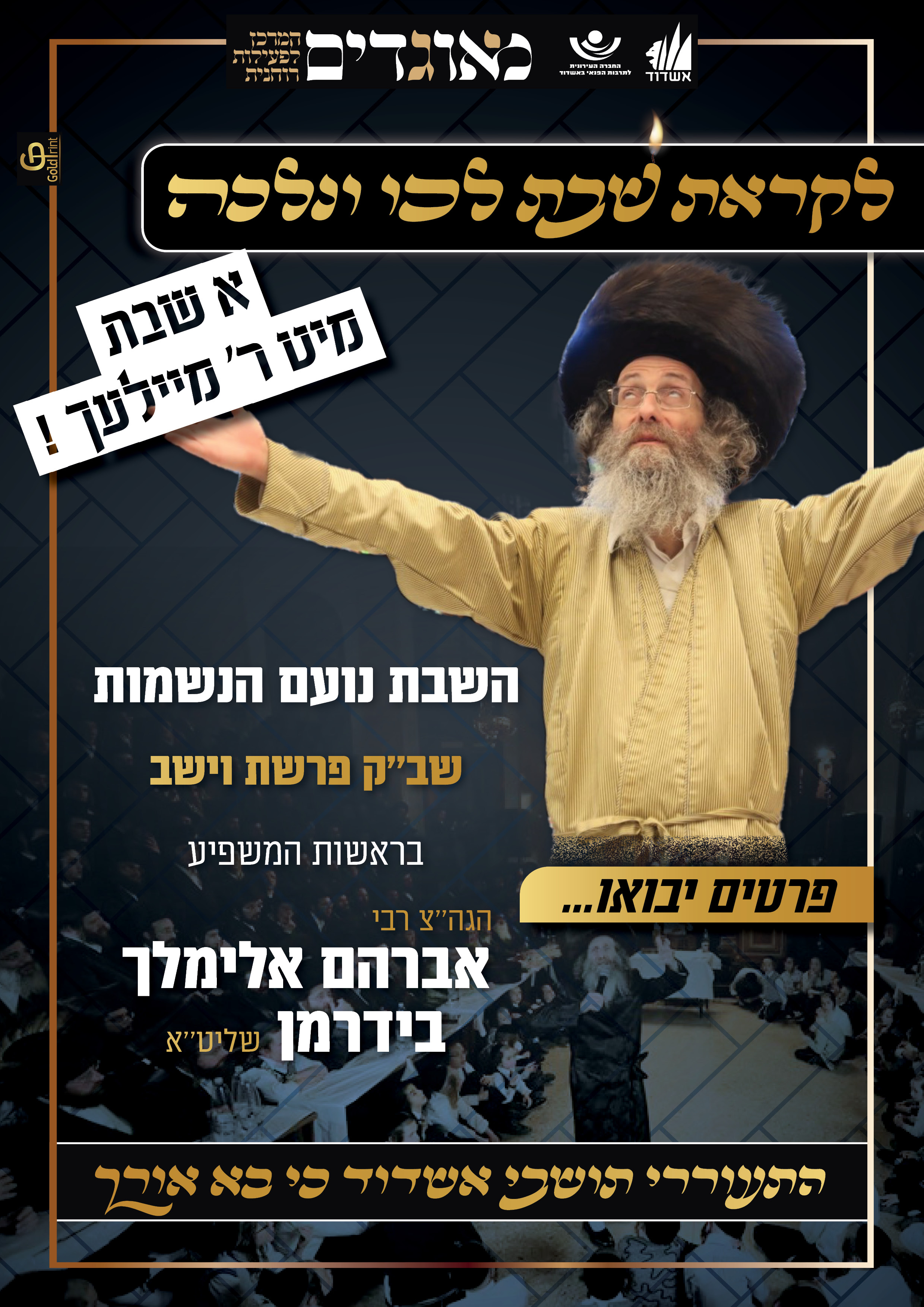 הרב מייליך בידרמן הכנה שבת וישב פג - פוסטר.jpg