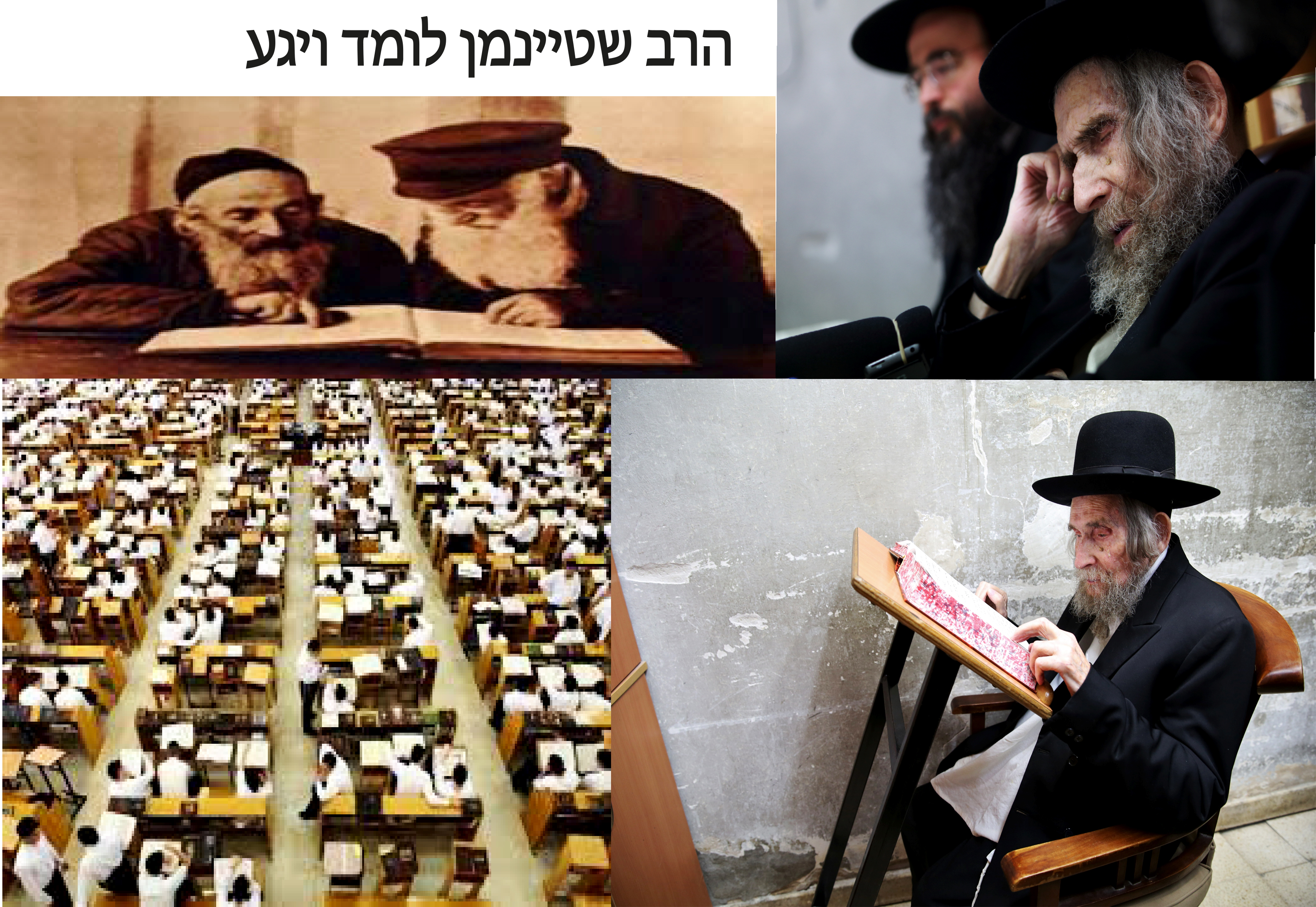 הרב שטיינמןלומד ויגע