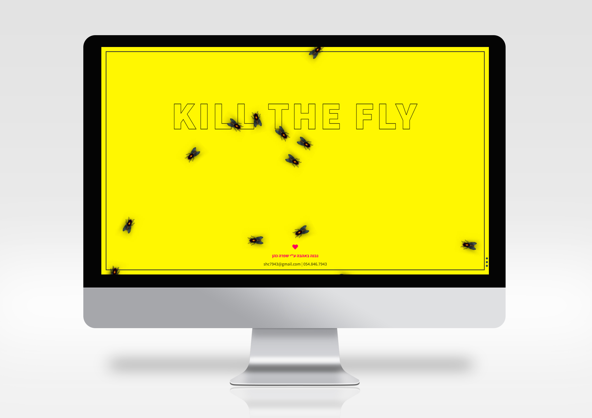 הרוג את הזבוב.jpg