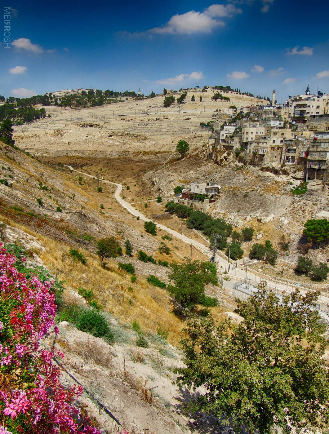 הר הזיתים (1)