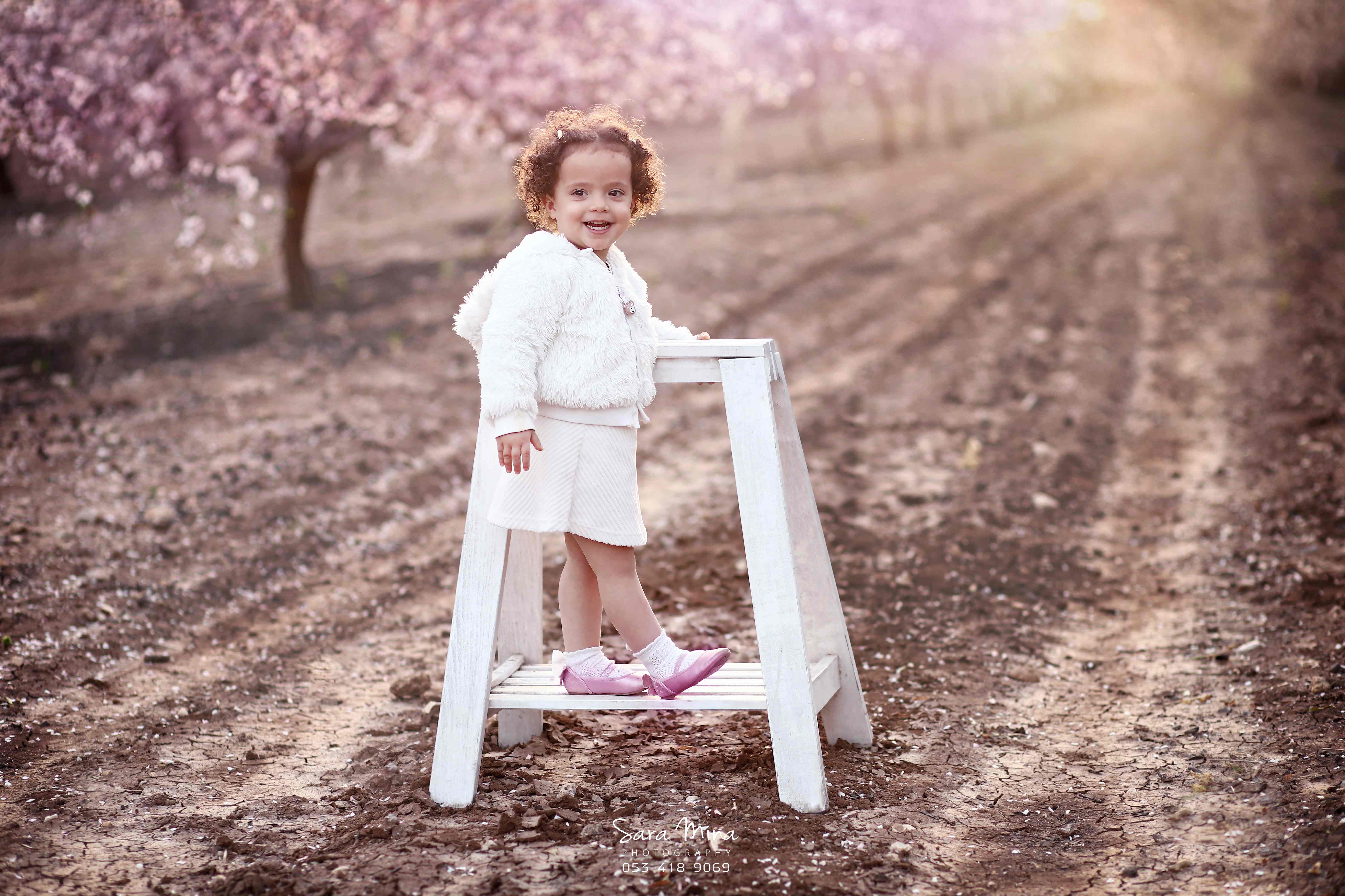 השקדיה פורחת