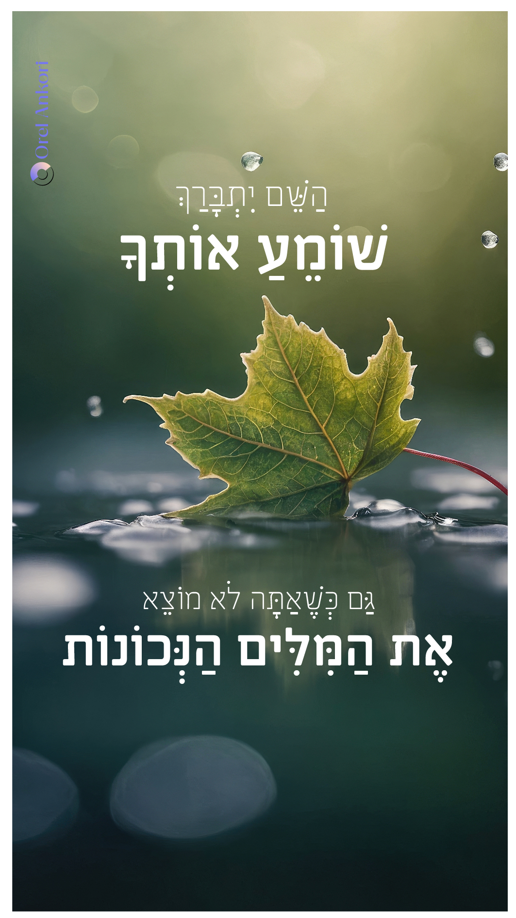 השראה (1)-06.jpg