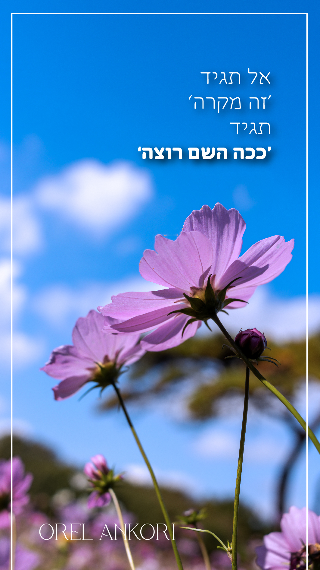 השראה (41)-01.jpg