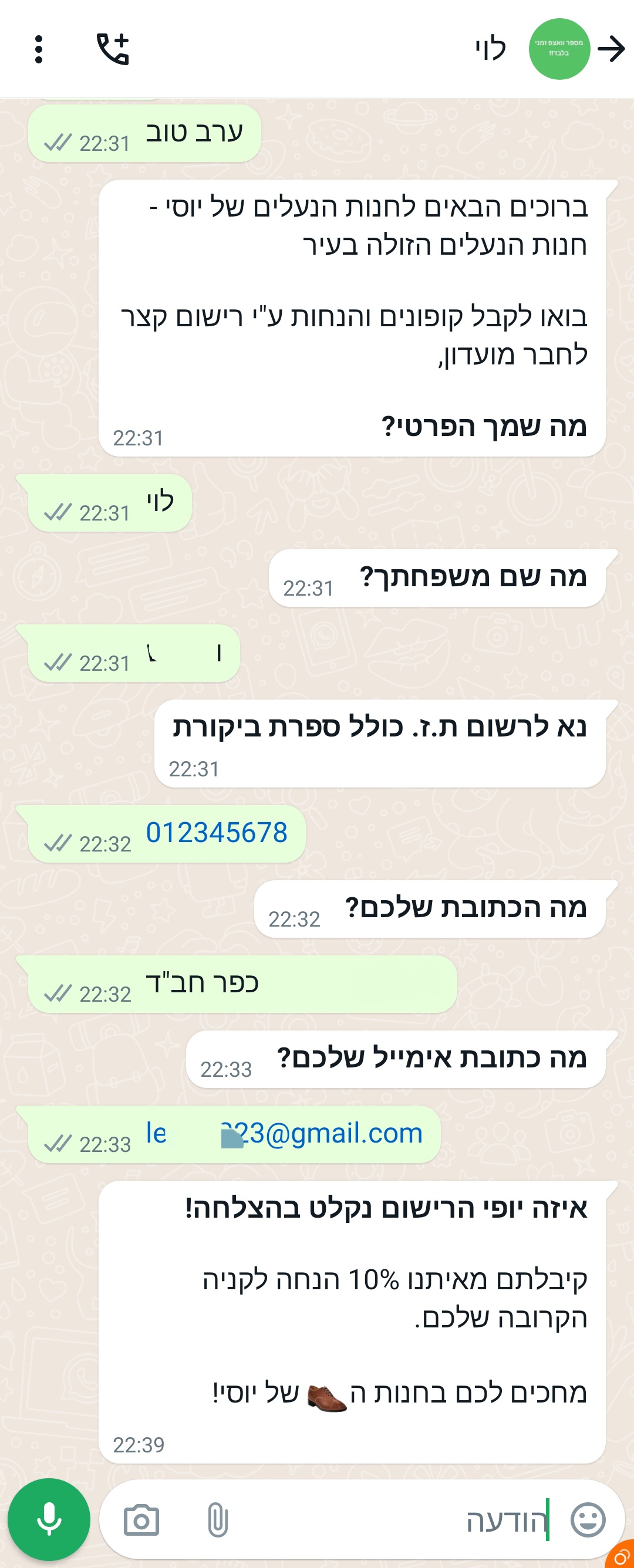 התכתבות עם הבוט
