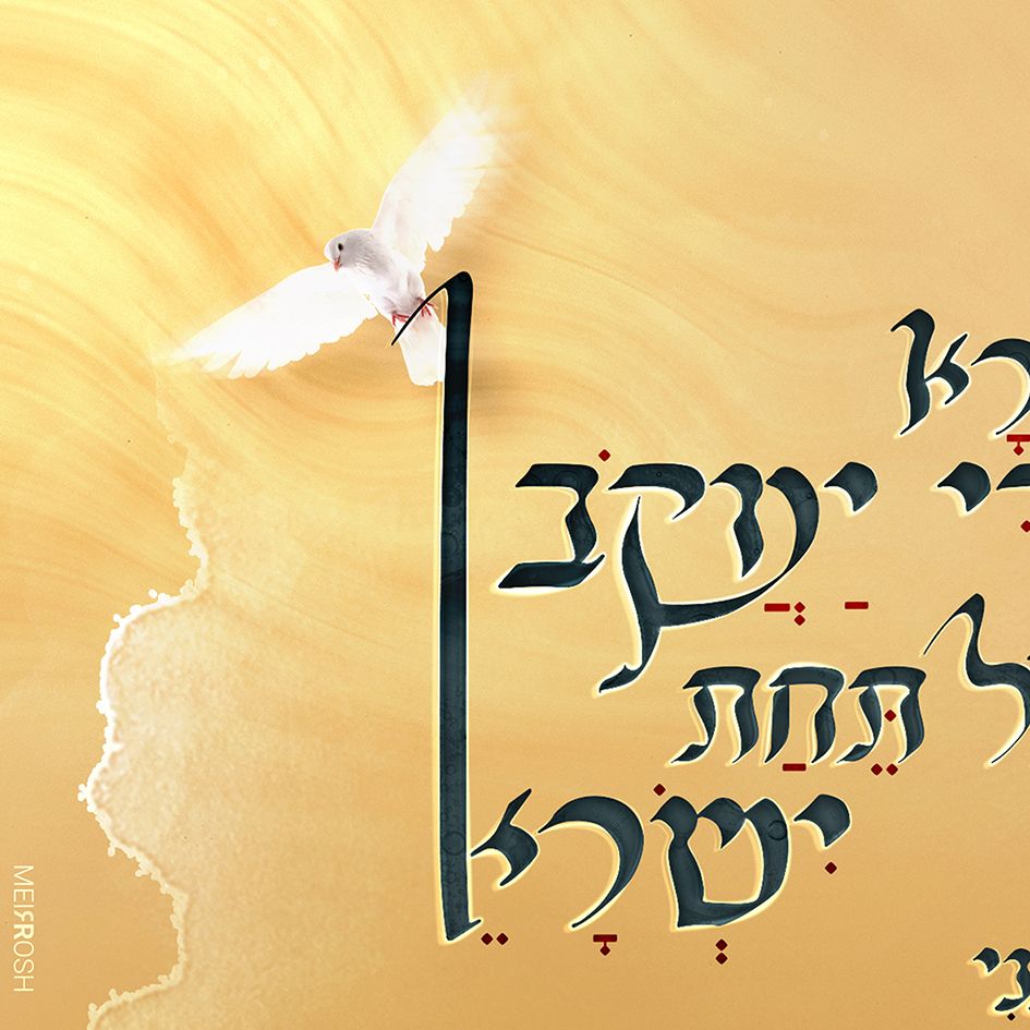 ואתה אל תירא עבדי יעקב MeirRoshDesign2.jpg