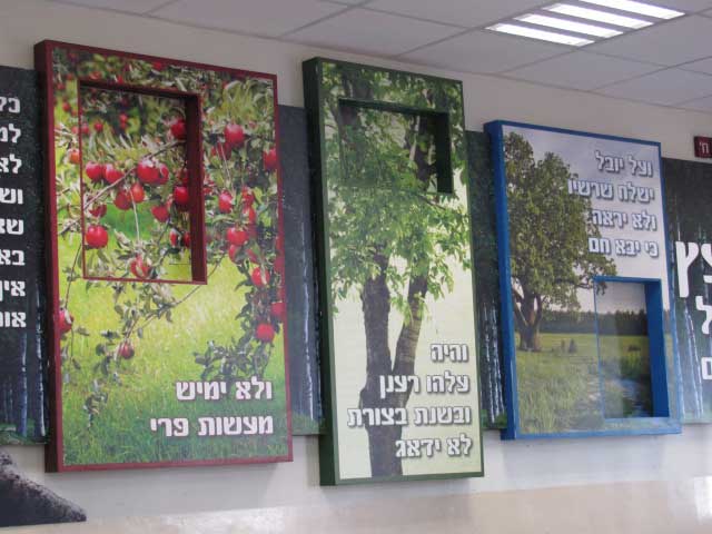 והיה כעץ שתול זכרון מאיר 1.jpg