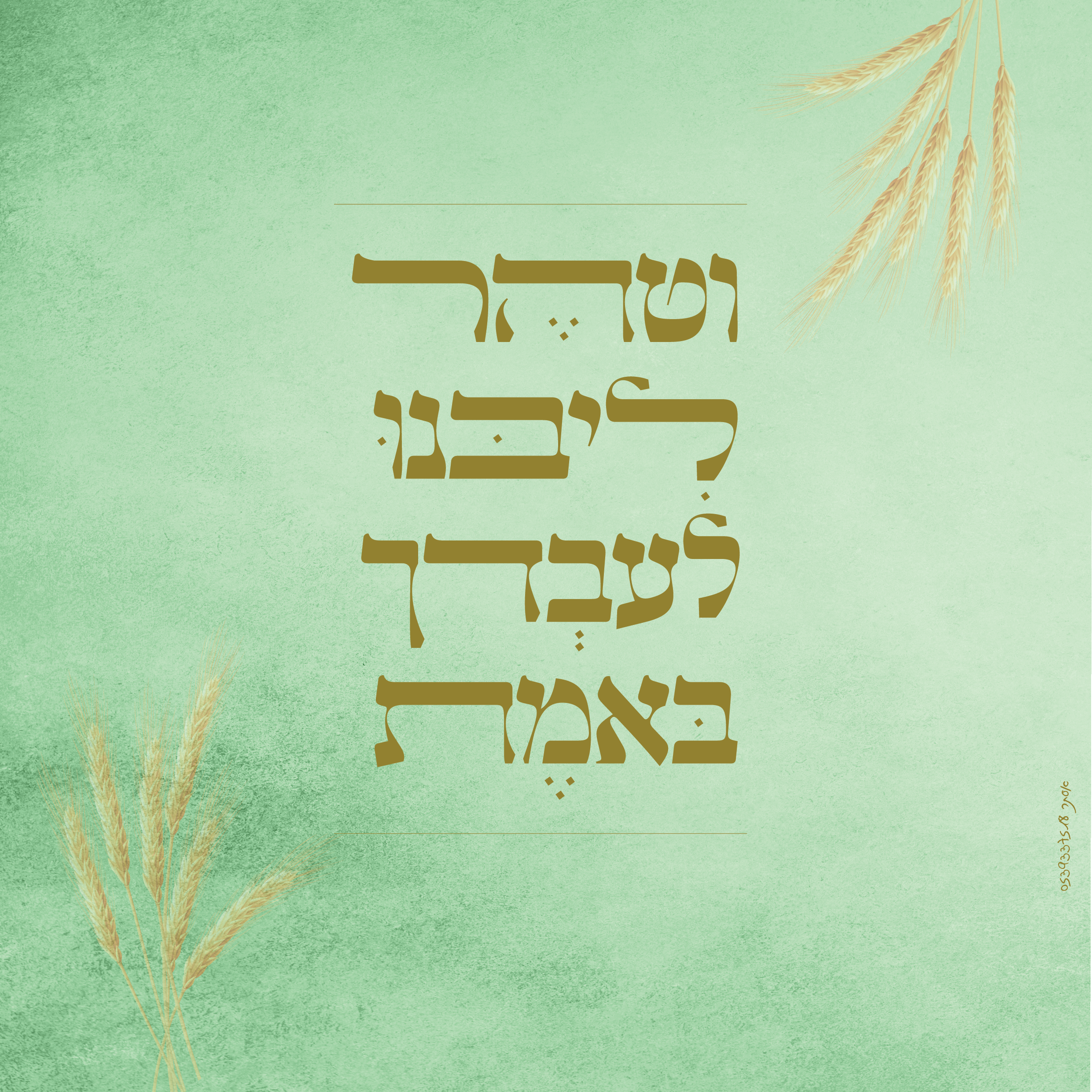 וטהר ליבנו-02.png