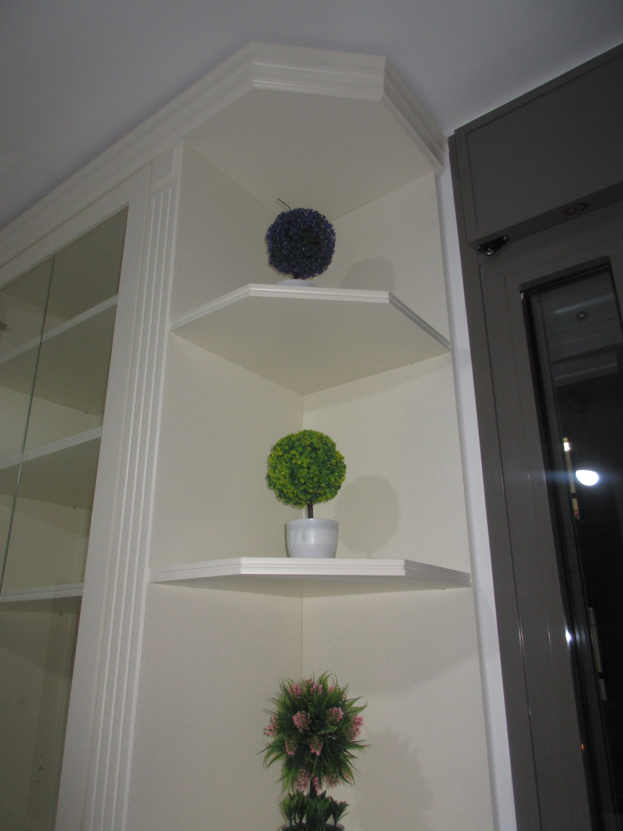 ויטרינת צד 2