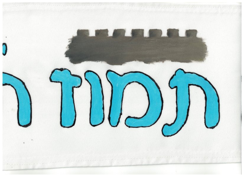 וימפל - תמוז.jpg