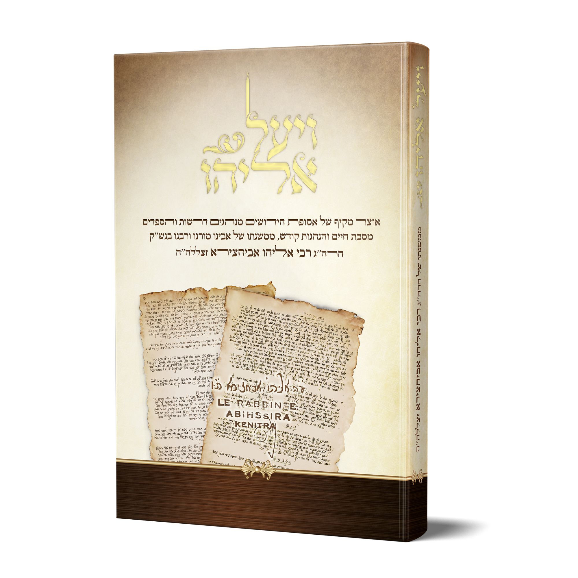 ויעל אליהו - הדמיה כריכה