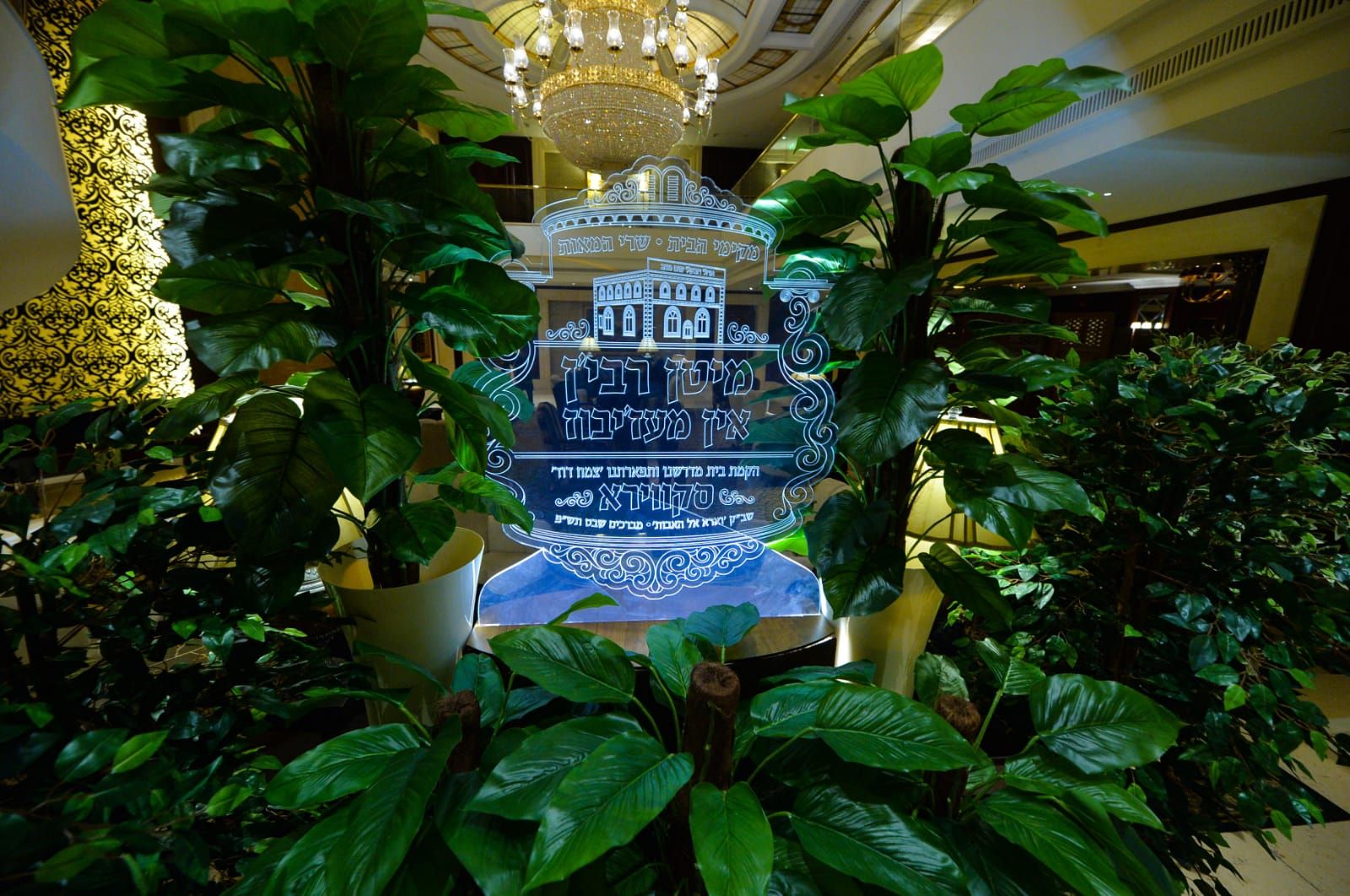 ועידה סקווירא אוקראינה סטודיו NG נפתלי גליק (26).jpeg