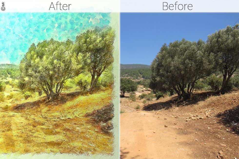 זית לפני אחרי_result