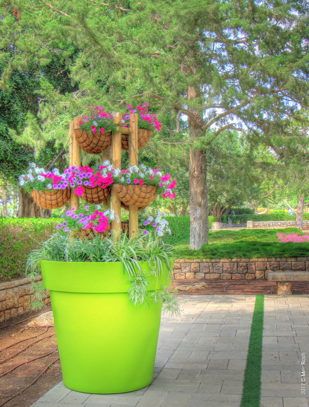 זכרון יעקב ורמת הנדיב (7)