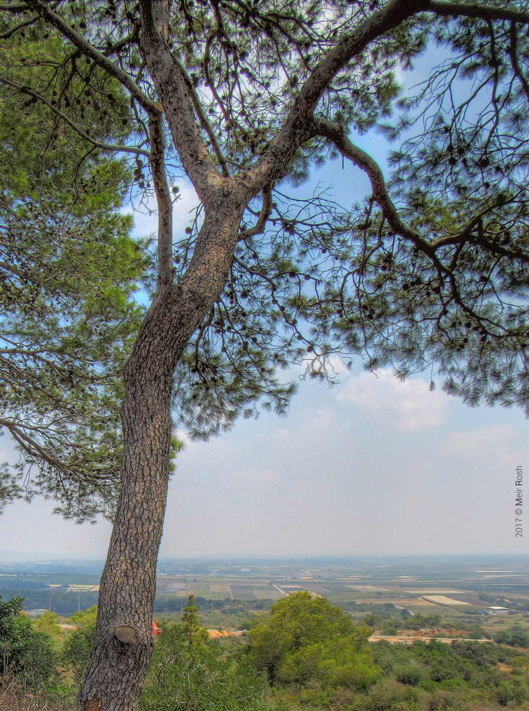זכרון יעקב ורמת הנדיב (8)