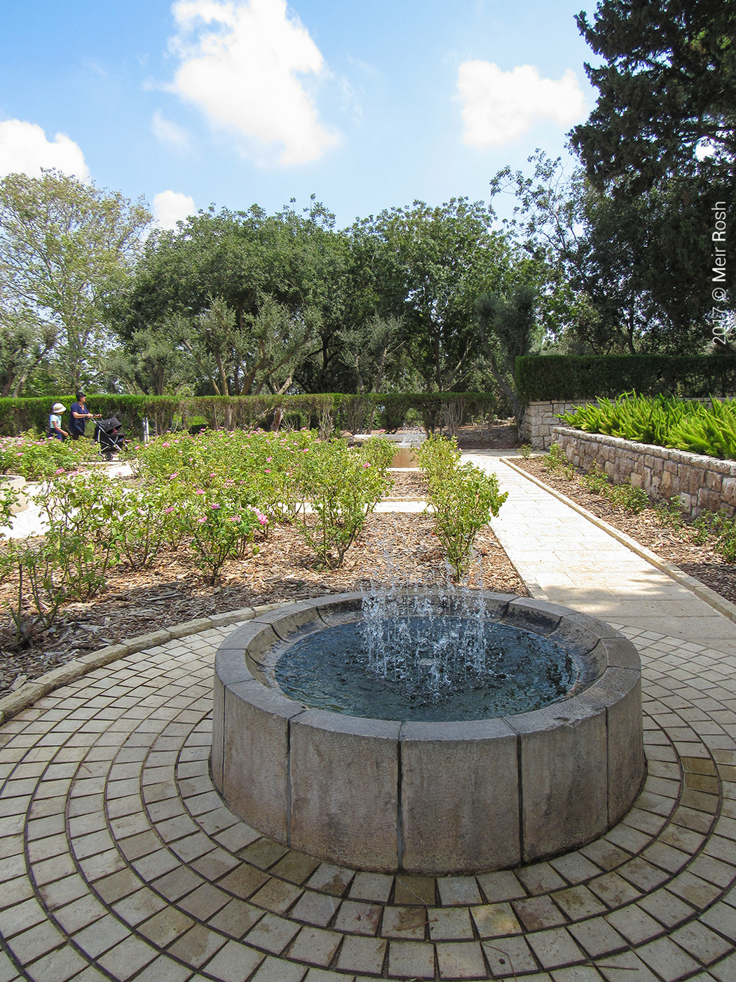 זכרון יעקב ורמת הנדיב (9)