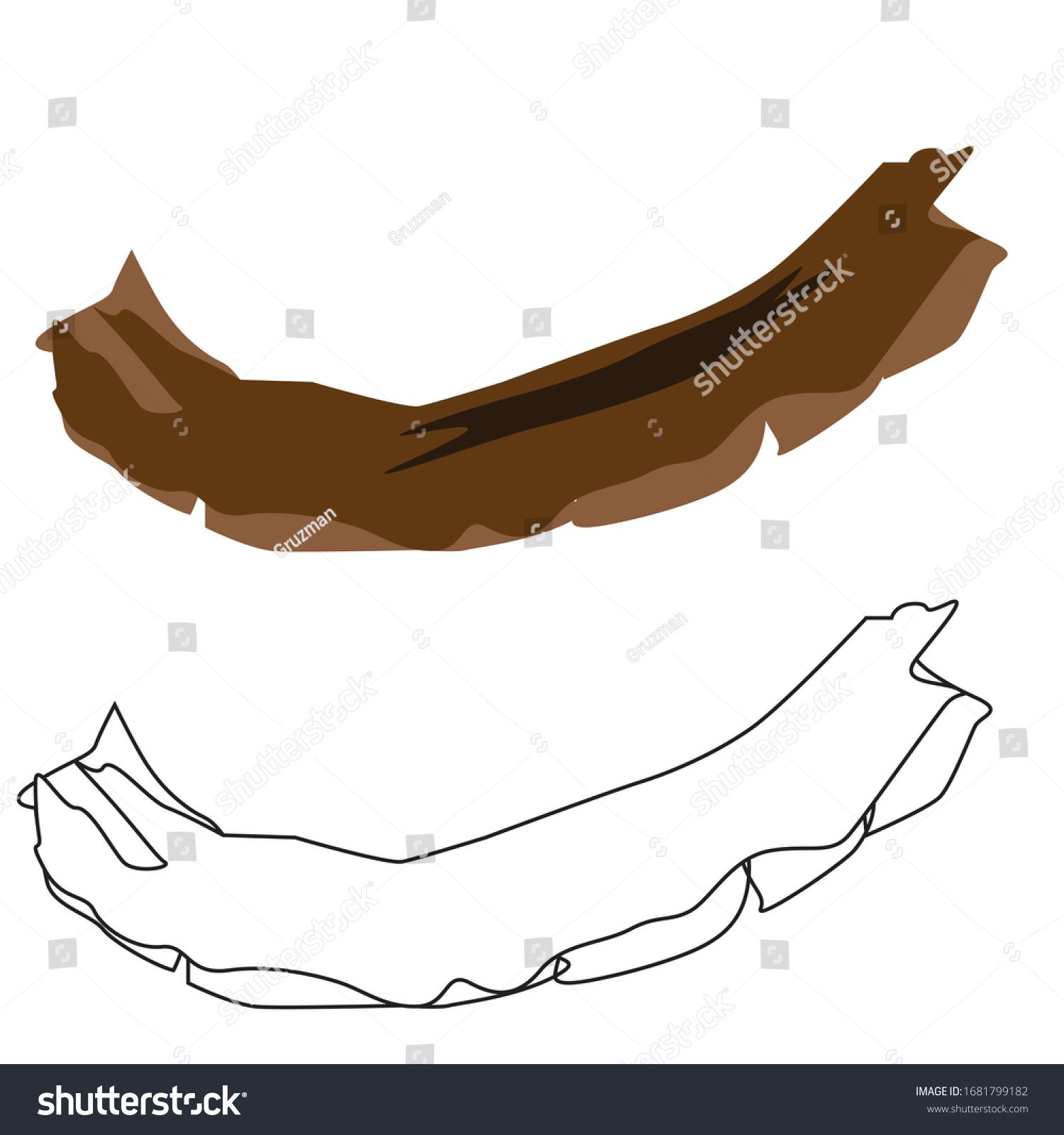 זרוע וקטורי-1681799182.jpg