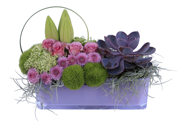 זר עם קשת מוק