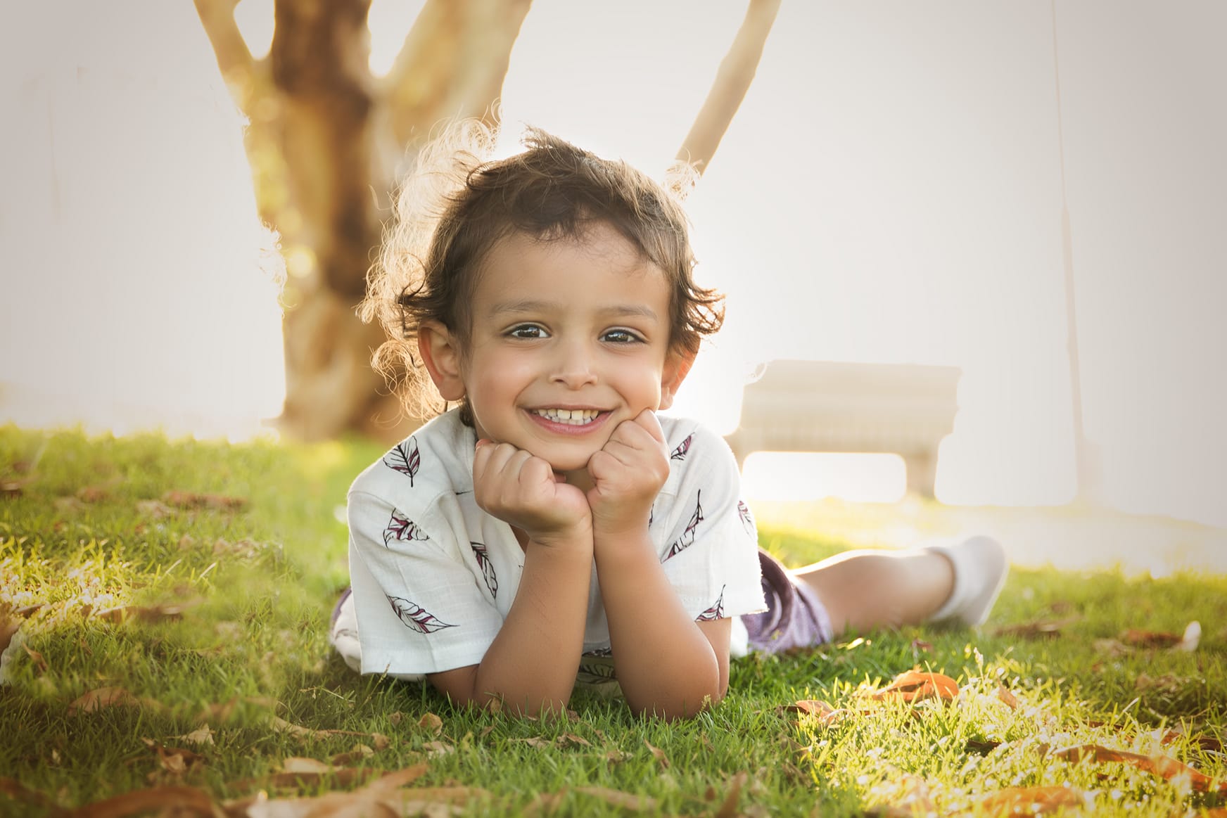 חאלקה . צילום : חמוטל בראונשטיין 0545640752