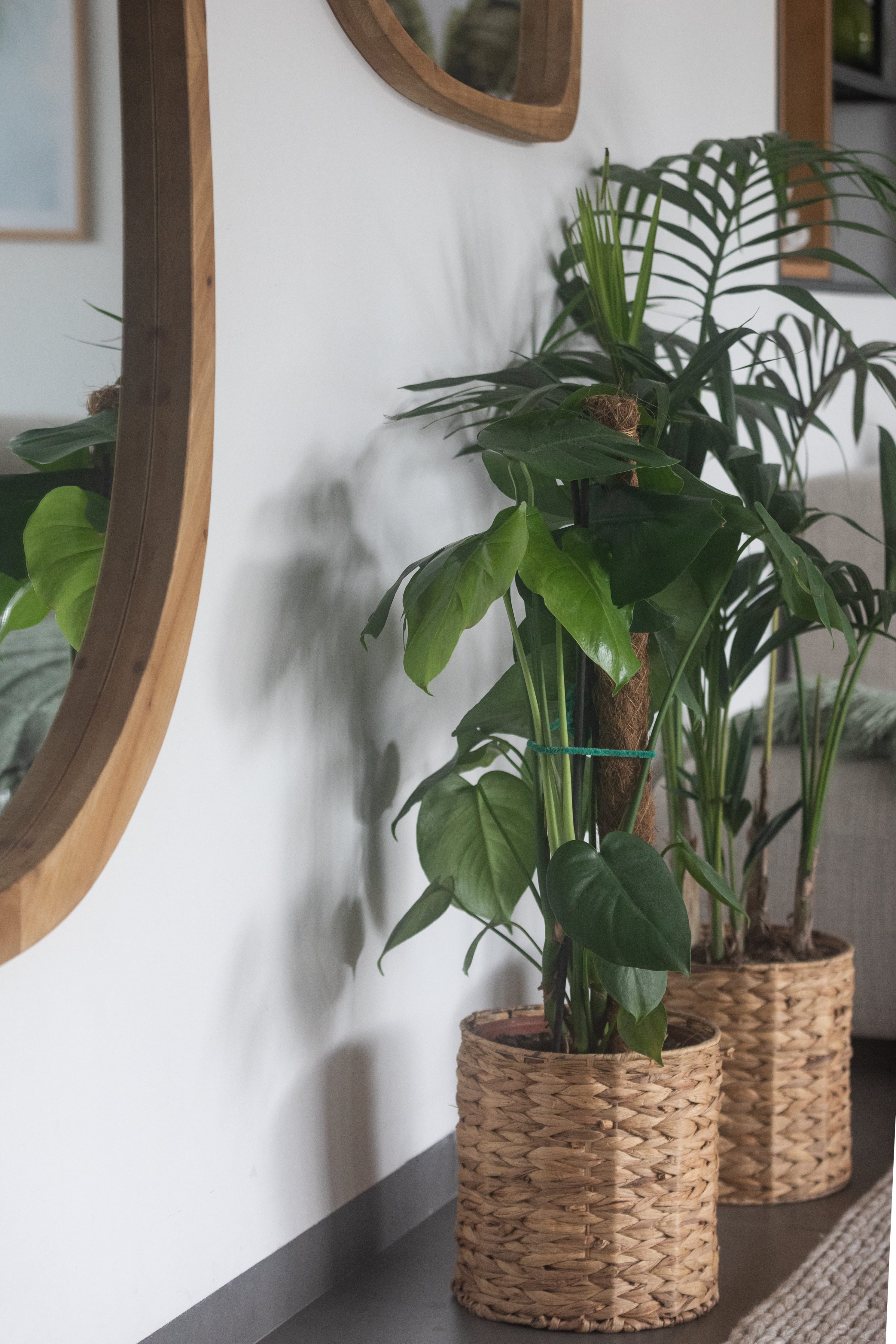 חדווה רוזנבלום צילום עיצוב פנים (8).jpg