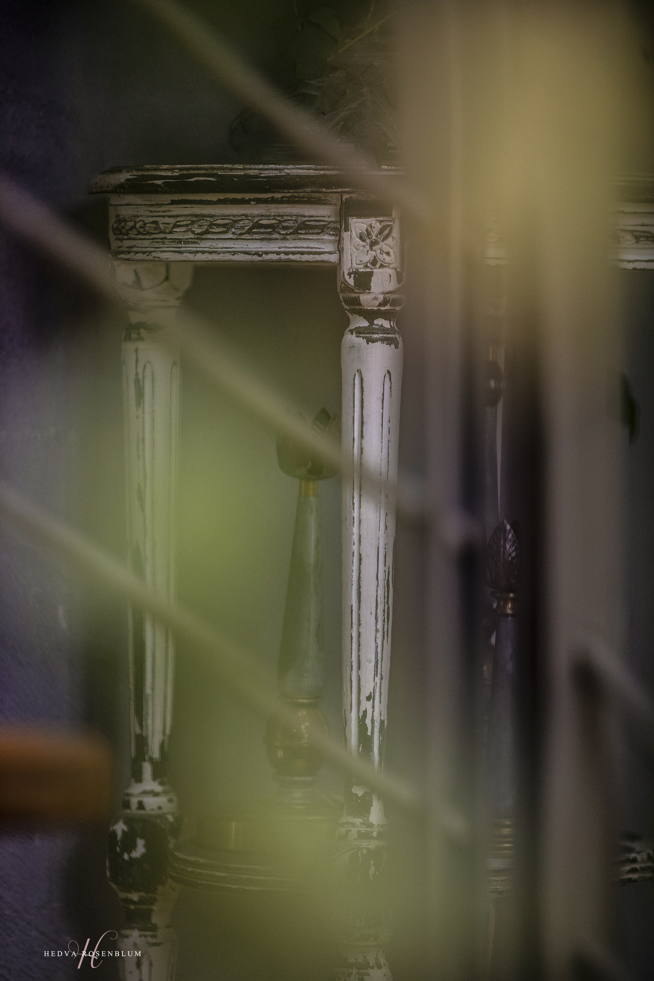 חדווה רוזנבלום (6).jpg