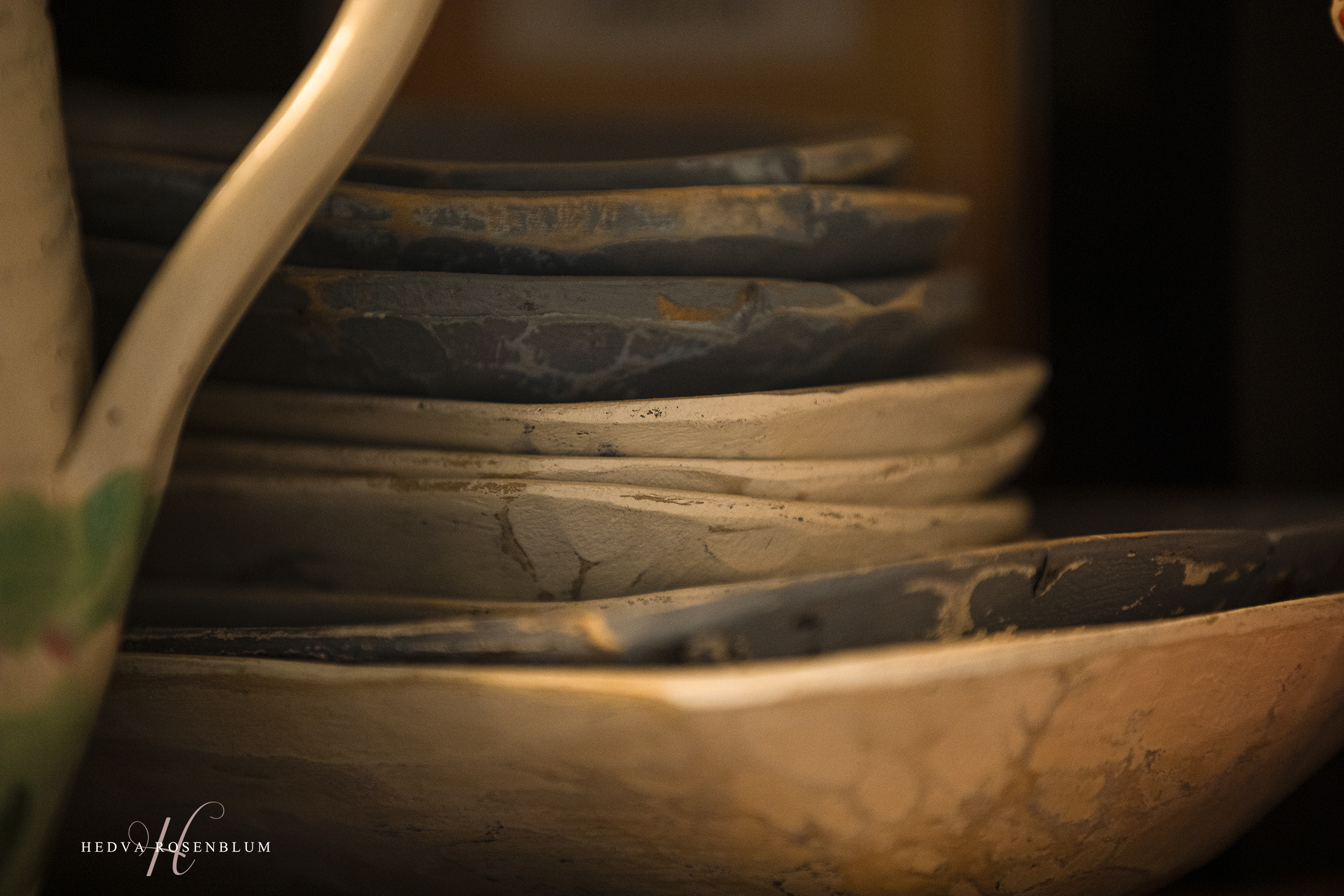 חדווה רוזנבלום (8).jpg