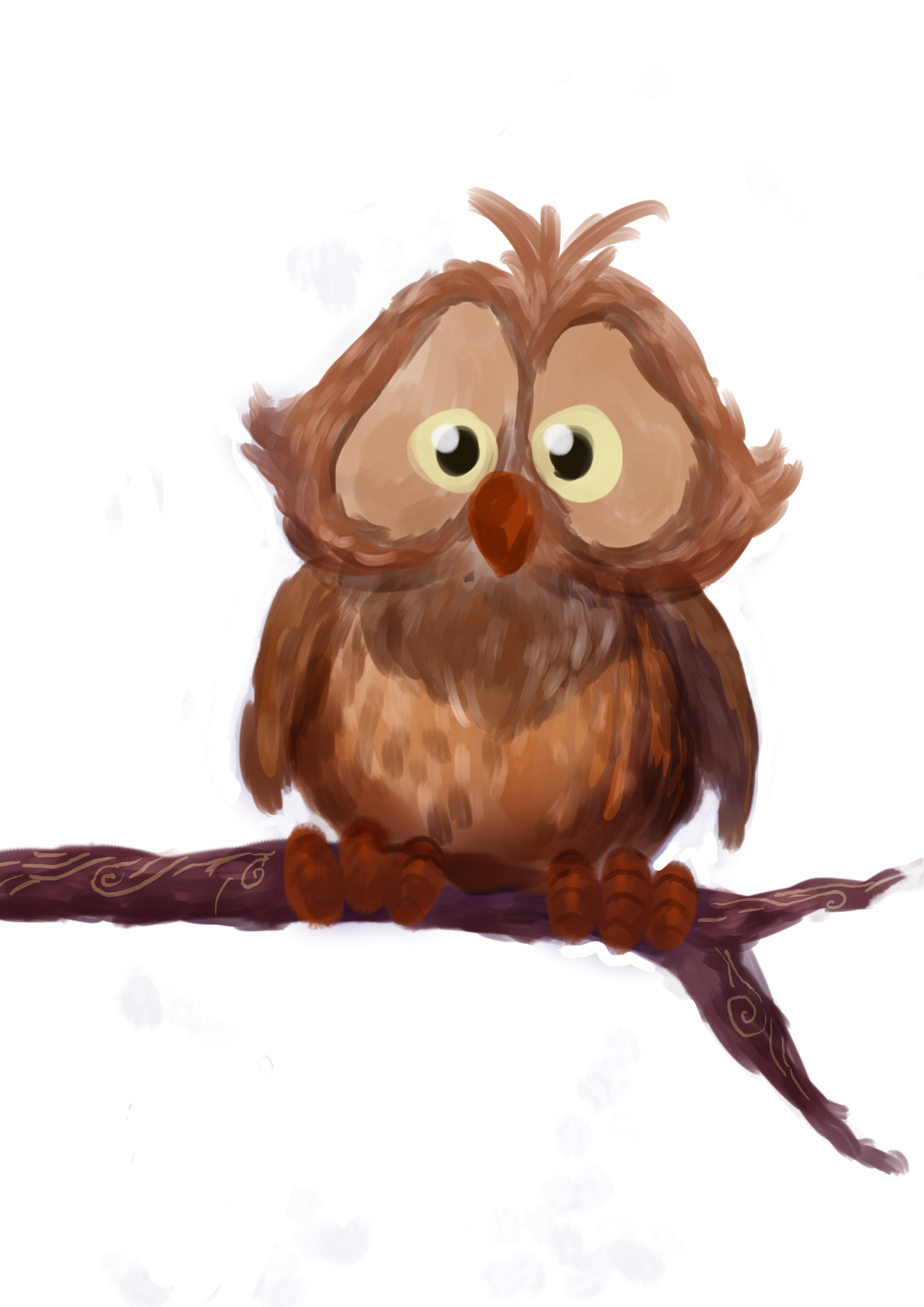 חדש ינשוף.jpg